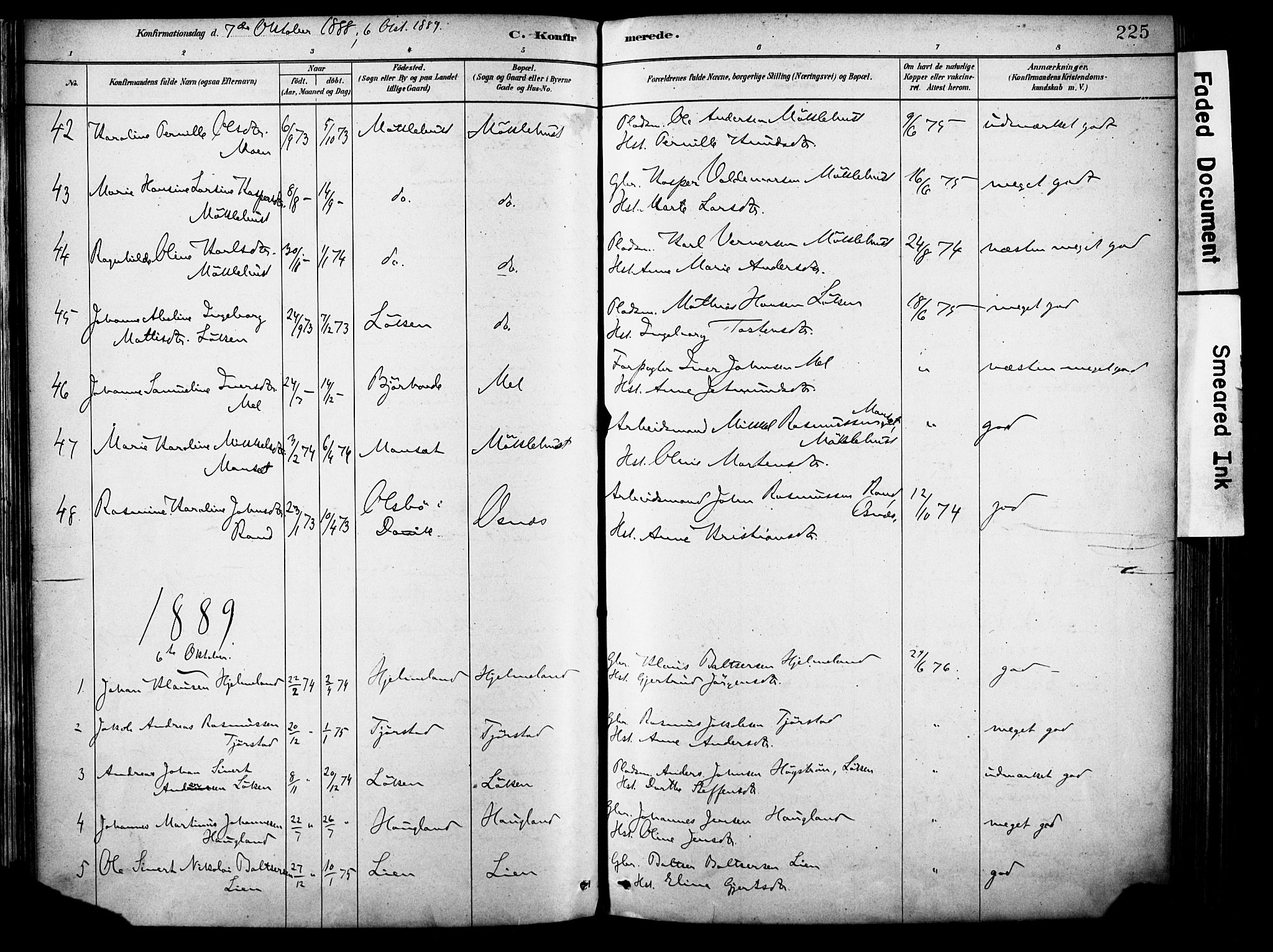 Eid sokneprestembete, AV/SAB-A-82301/H/Haa/Haab/L0001: Parish register (official) no. B 1, 1879-1906, p. 225