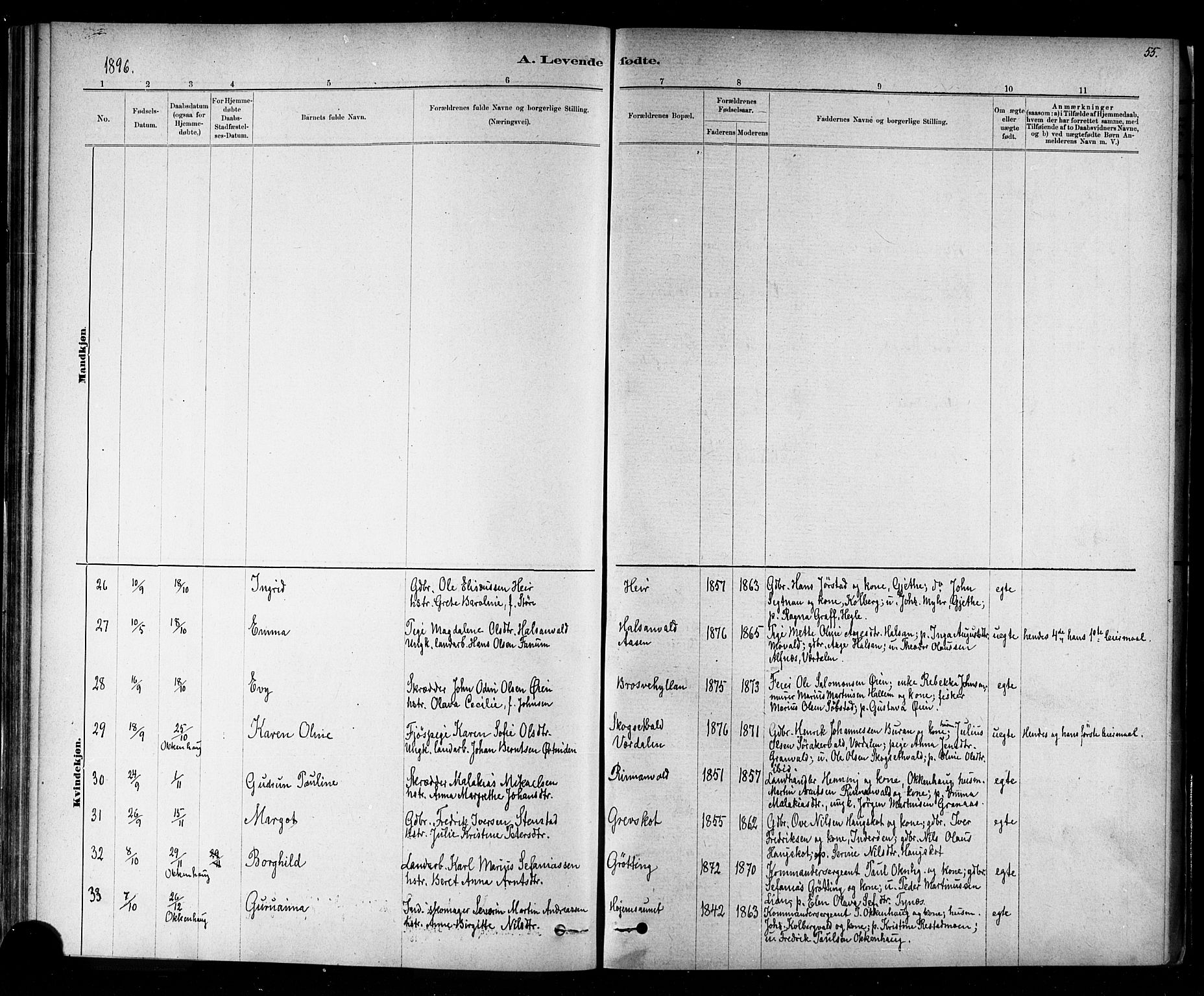 Ministerialprotokoller, klokkerbøker og fødselsregistre - Nord-Trøndelag, AV/SAT-A-1458/721/L0208: Parish register (copy) no. 721C01, 1880-1917, p. 55