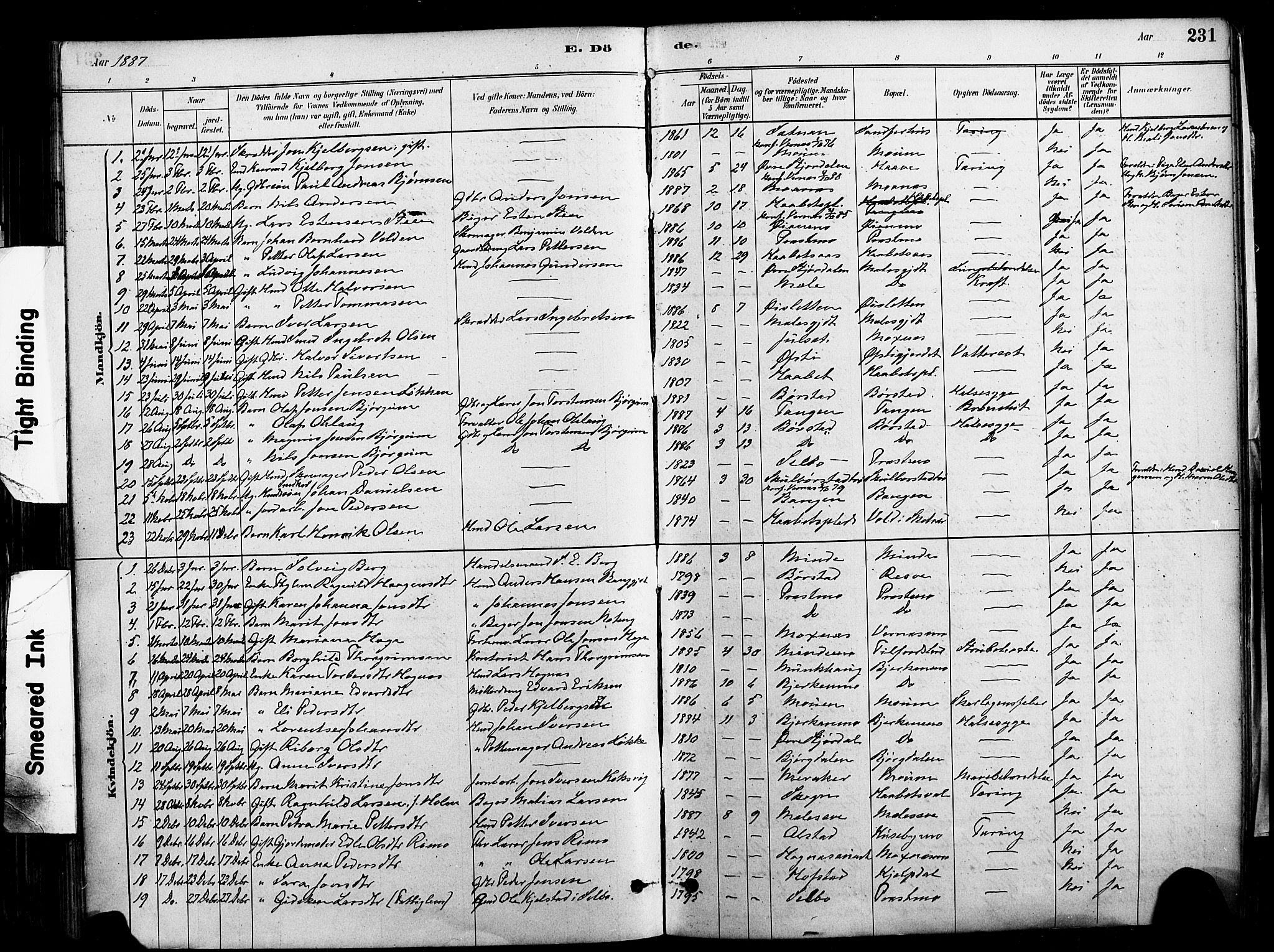 Ministerialprotokoller, klokkerbøker og fødselsregistre - Nord-Trøndelag, SAT/A-1458/709/L0077: Parish register (official) no. 709A17, 1880-1895, p. 231
