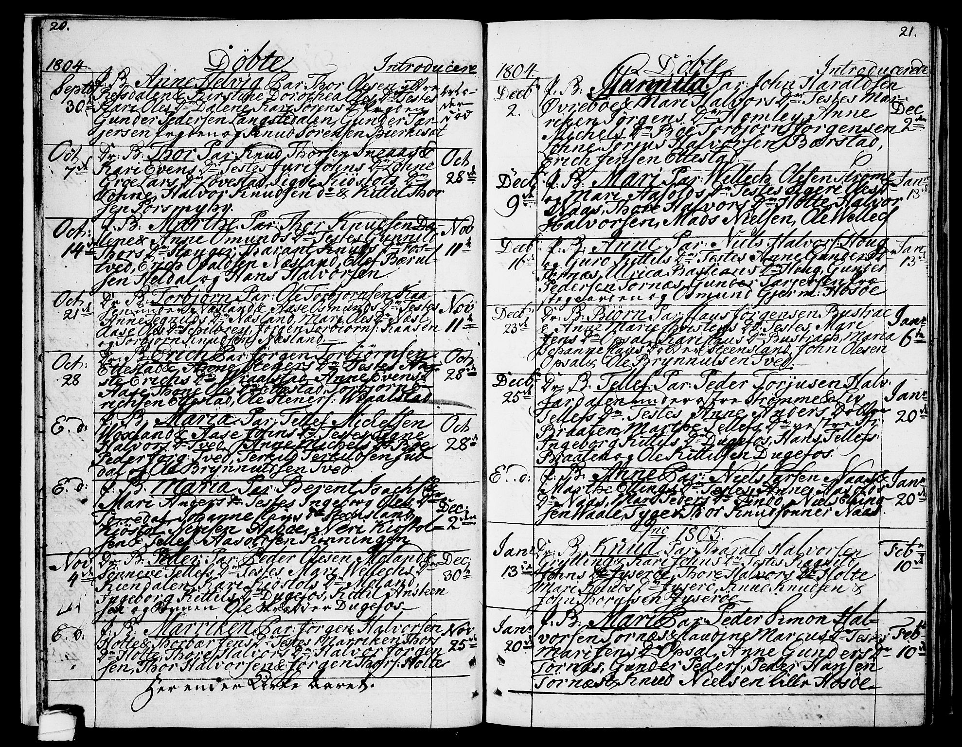 Drangedal kirkebøker, SAKO/A-258/F/Fa/L0004: Parish register (official) no. 4, 1802-1814, p. 20-21