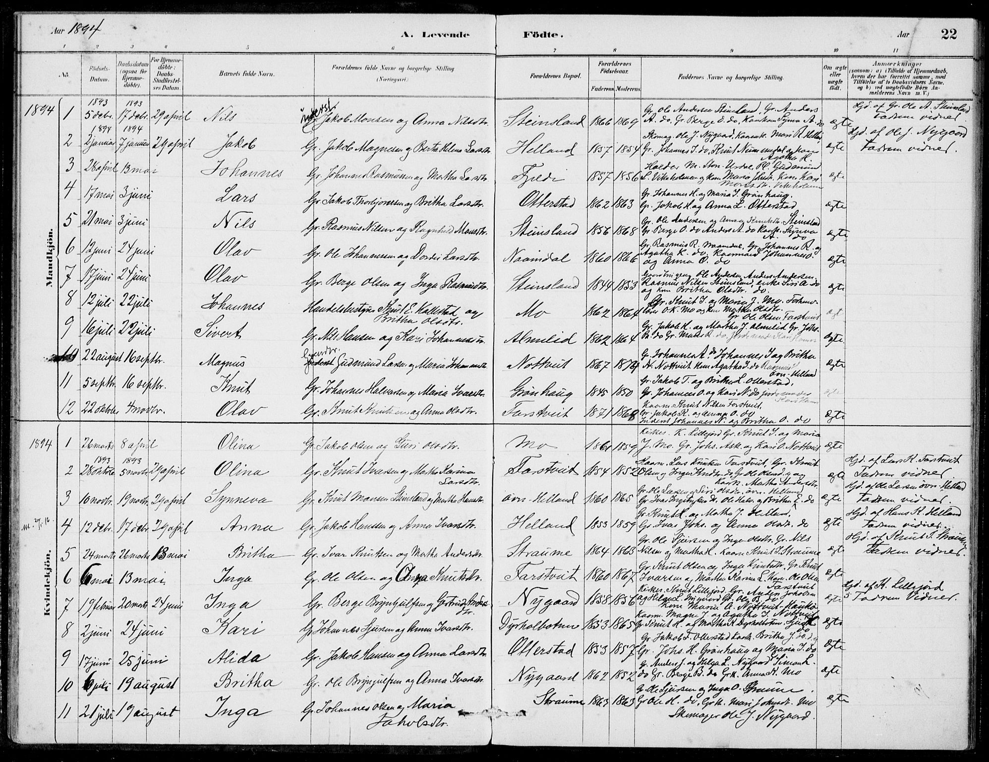 Hosanger sokneprestembete, AV/SAB-A-75801/H/Haa: Parish register (official) no. C  1, 1880-1900, p. 22