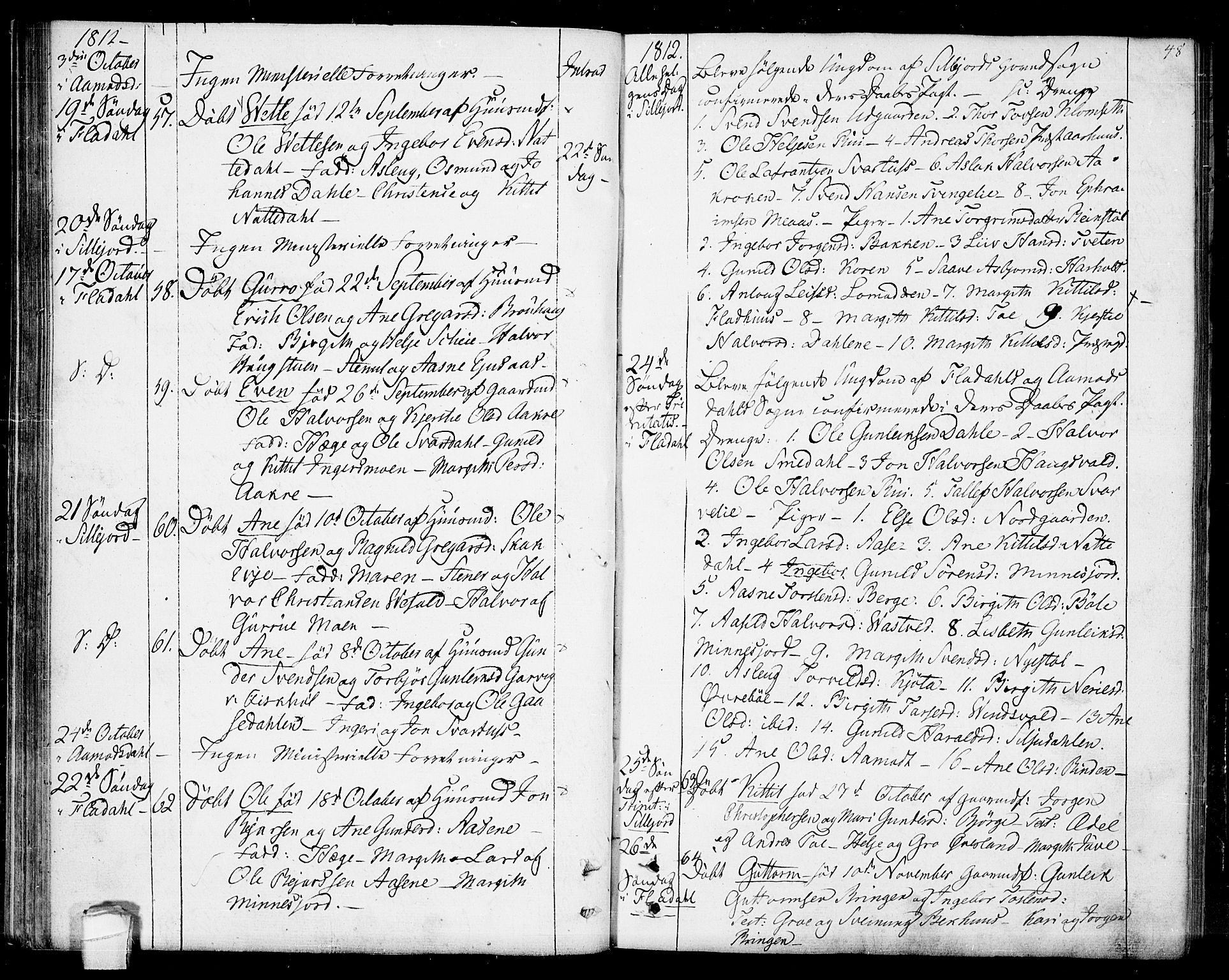 Seljord kirkebøker, SAKO/A-20/F/Fa/L0009: Parish register (official) no. I 9, 1801-1814, p. 48