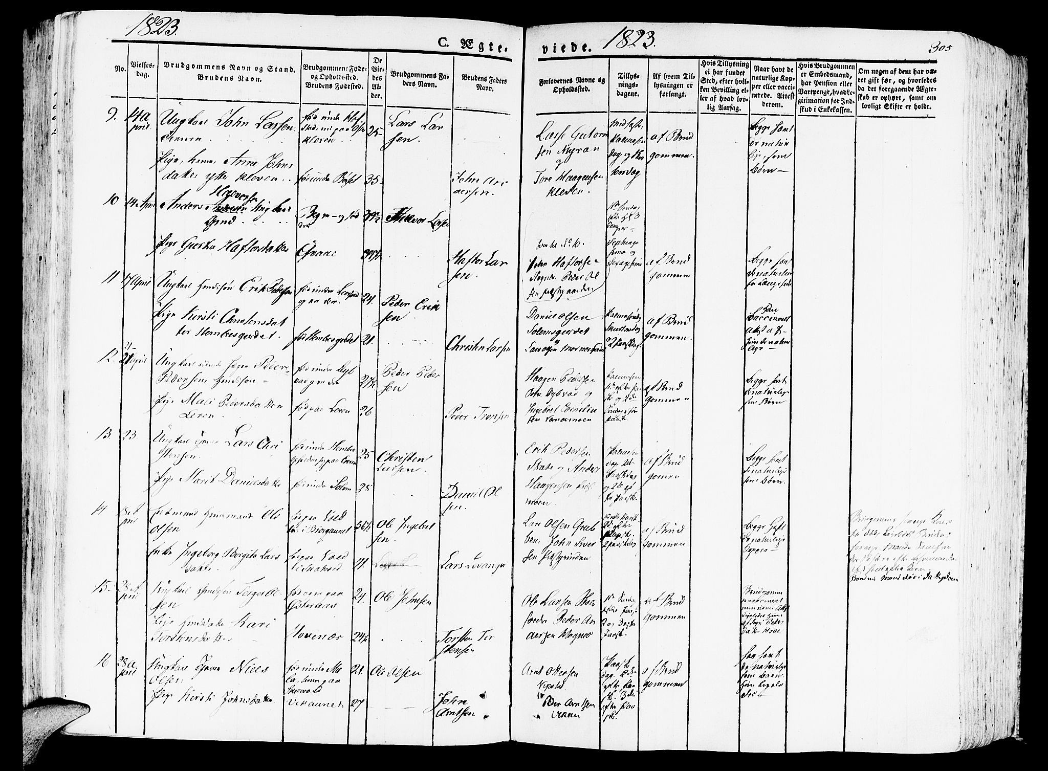 Ministerialprotokoller, klokkerbøker og fødselsregistre - Nord-Trøndelag, AV/SAT-A-1458/709/L0070: Parish register (official) no. 709A10, 1820-1832, p. 305