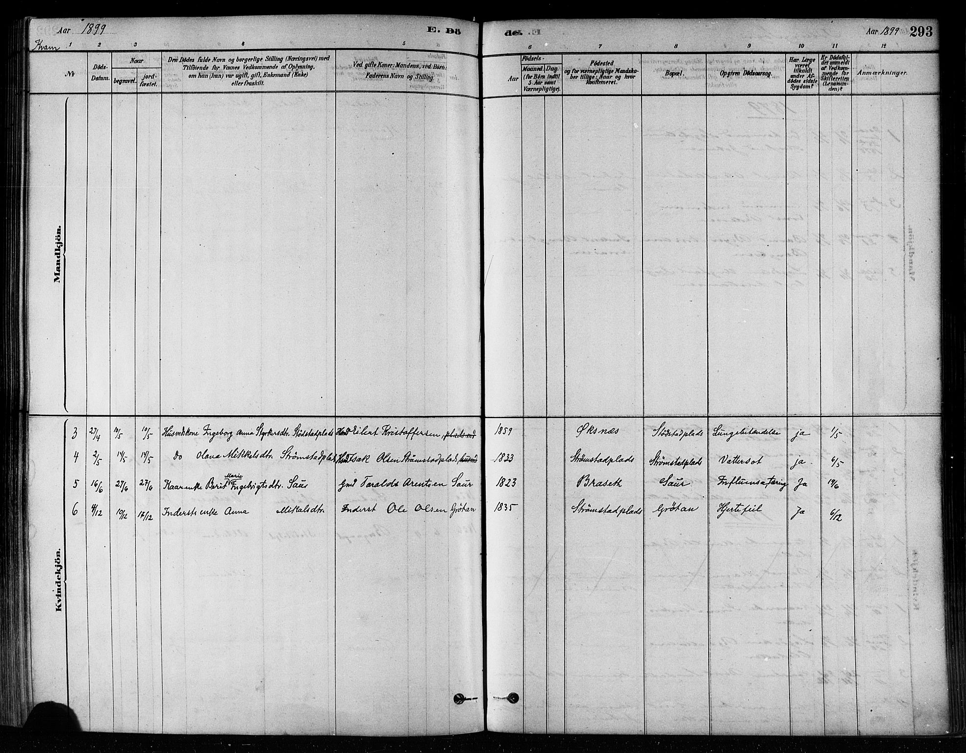 Ministerialprotokoller, klokkerbøker og fødselsregistre - Nord-Trøndelag, SAT/A-1458/746/L0449: Parish register (official) no. 746A07 /2, 1878-1899, p. 293