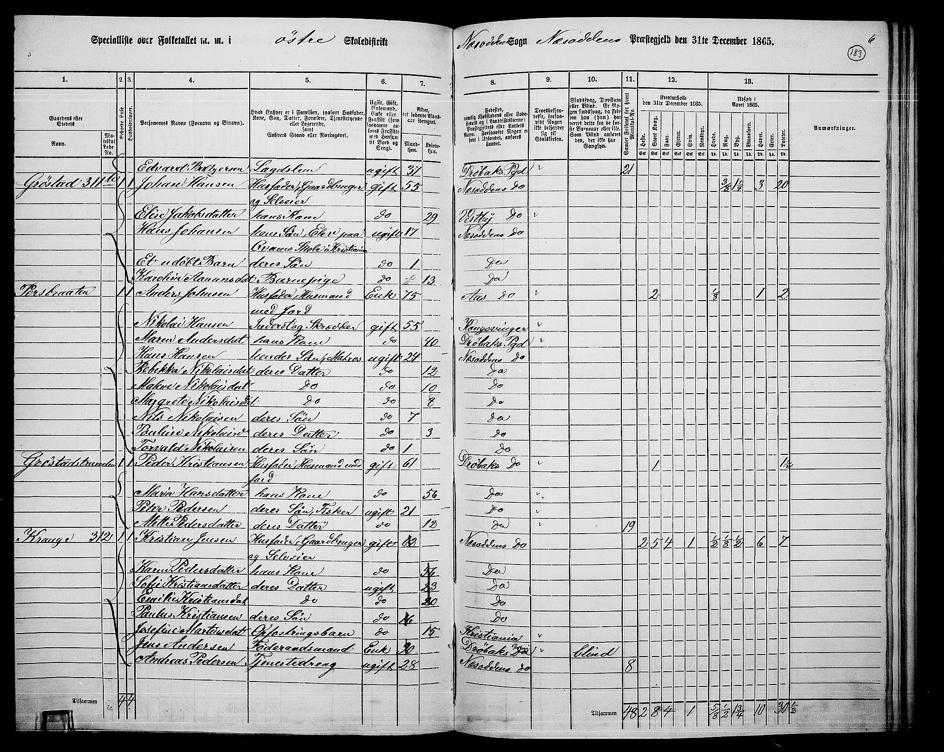RA, 1865 census for Nesodden, 1865, p. 25