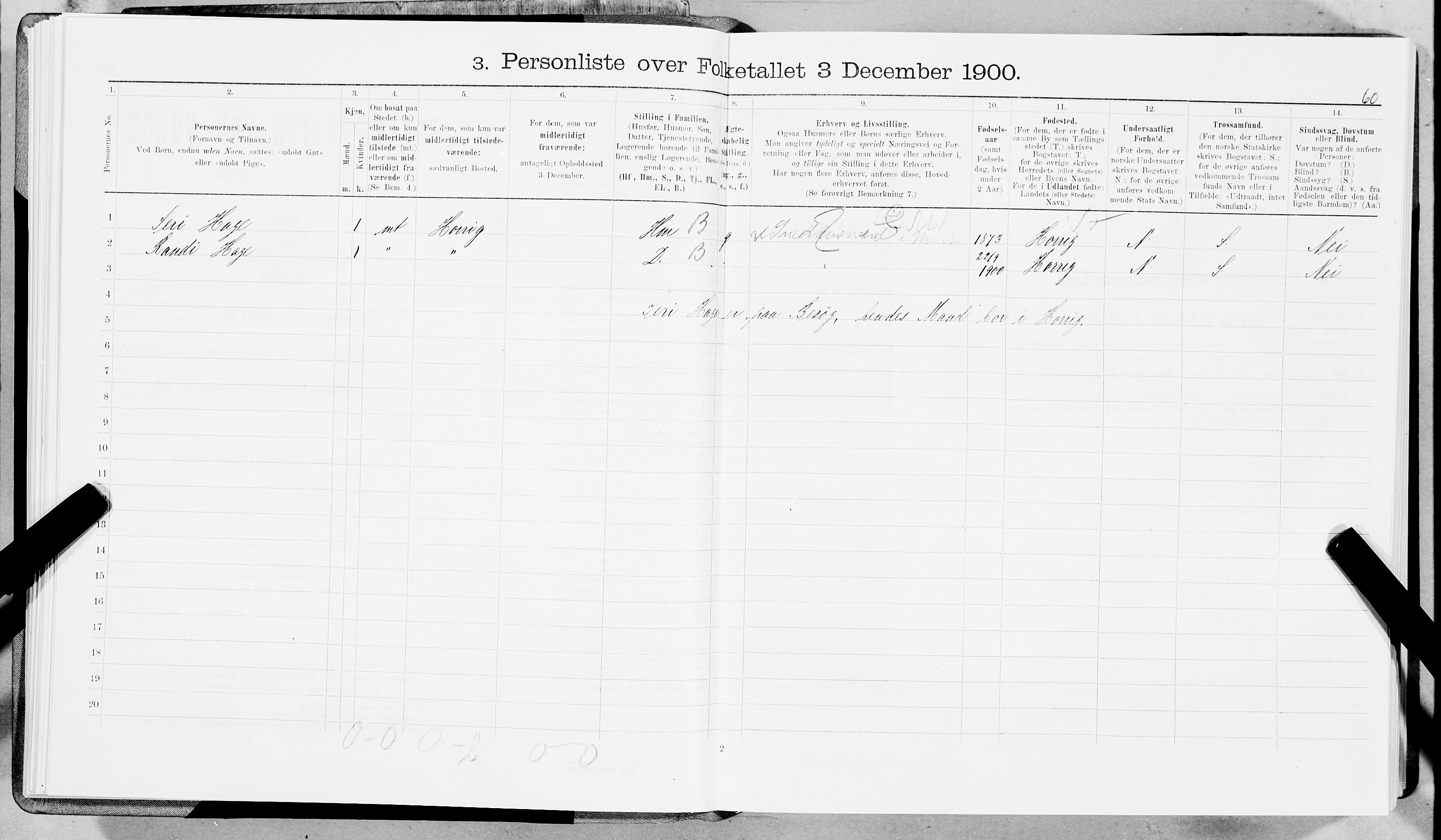 SAT, 1900 census for Trondheim, 1900, p. 2599