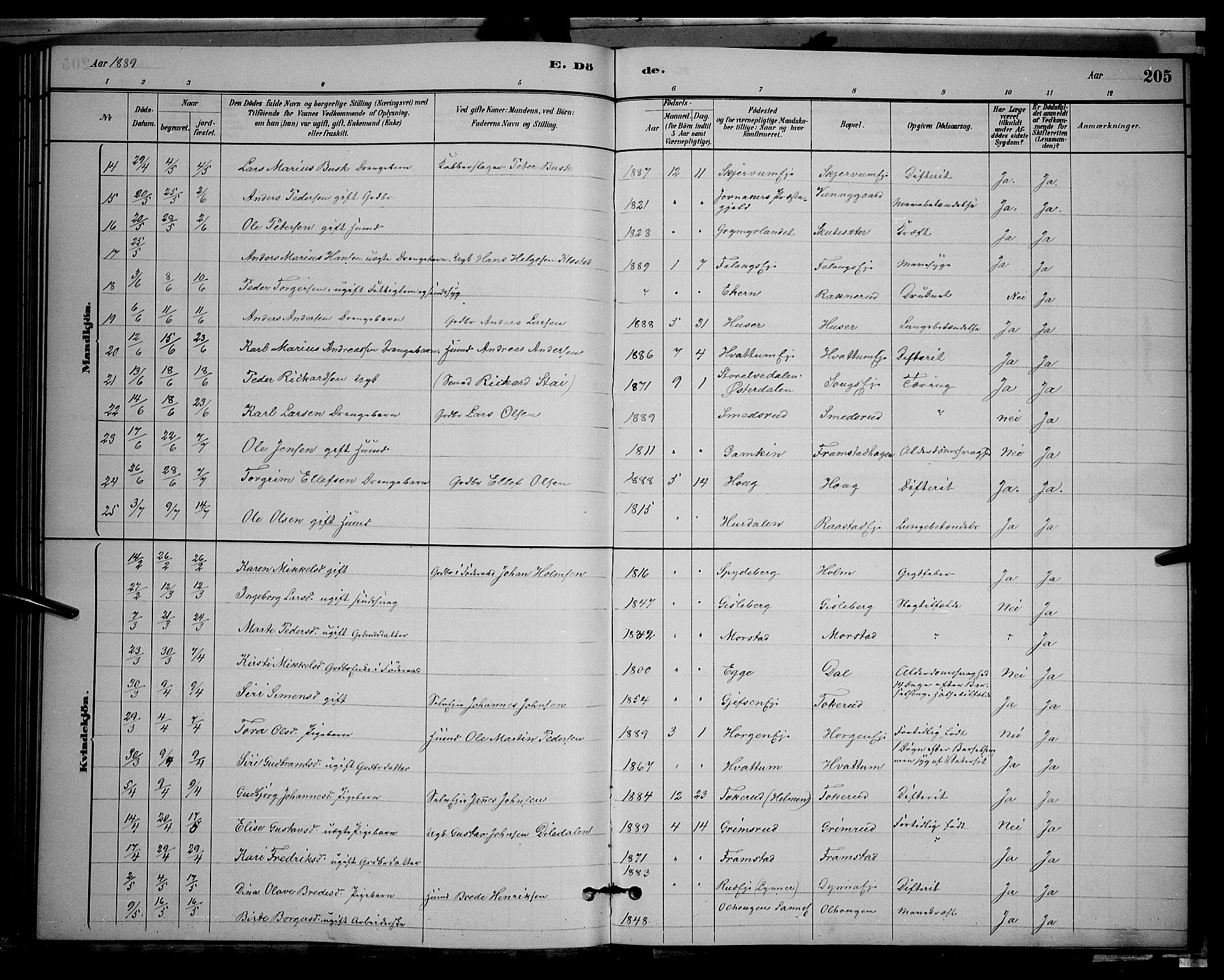 Gran prestekontor, SAH/PREST-112/H/Ha/Hab/L0002: Parish register (copy) no. 2, 1879-1892, p. 205
