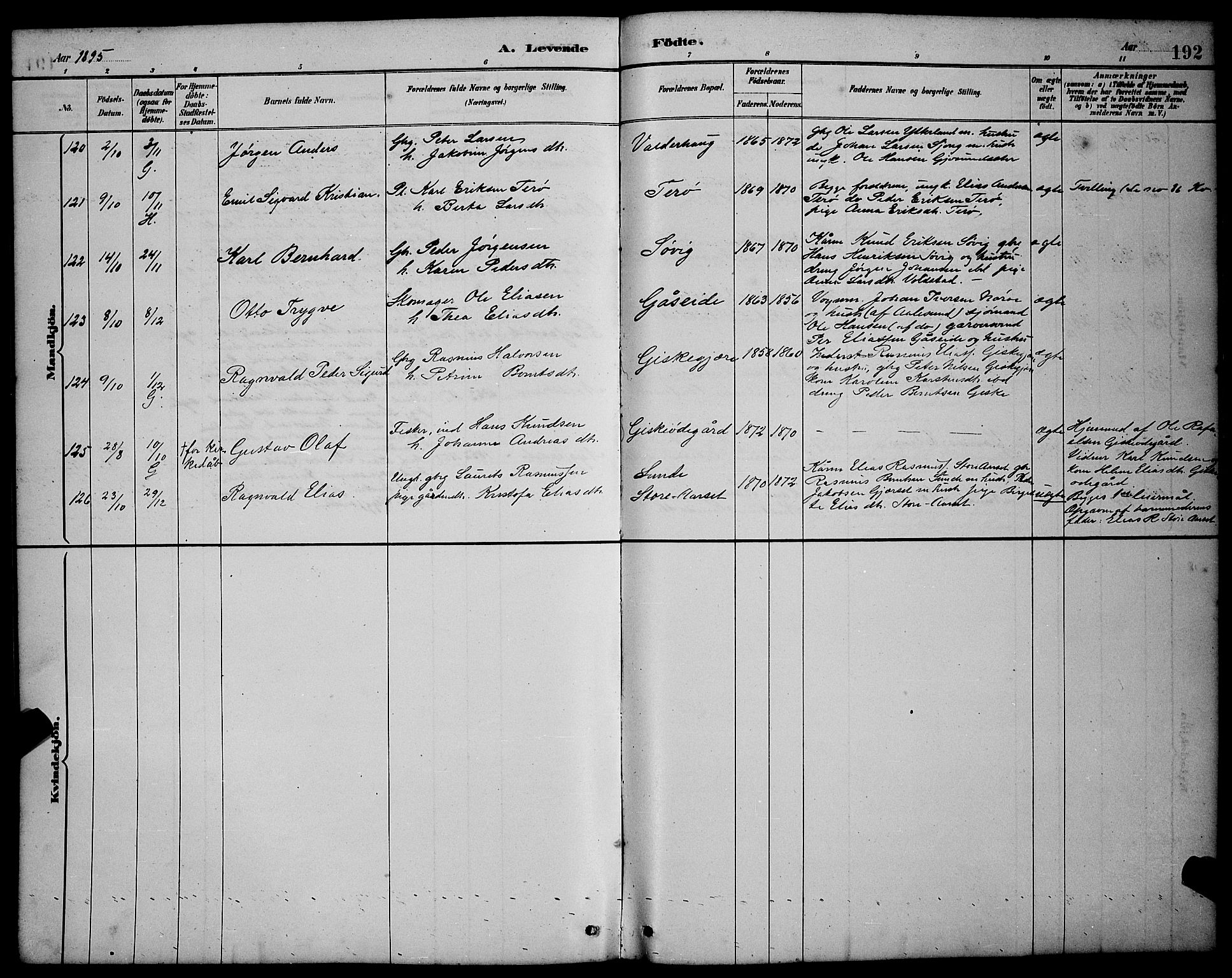 Ministerialprotokoller, klokkerbøker og fødselsregistre - Møre og Romsdal, AV/SAT-A-1454/528/L0431: Parish register (copy) no. 528C12, 1885-1898, p. 192