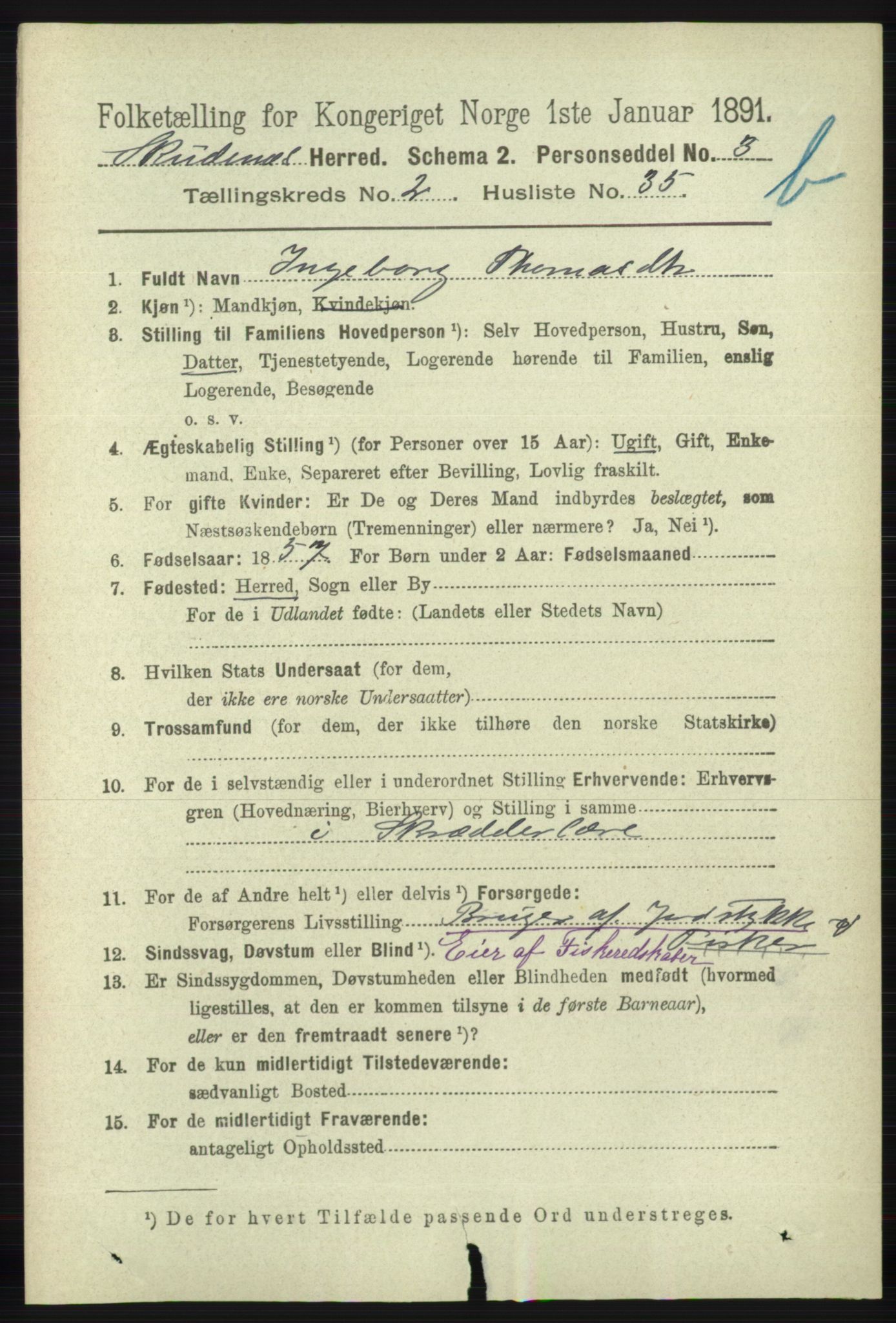 RA, 1891 census for 1150 Skudenes, 1891, p. 3906