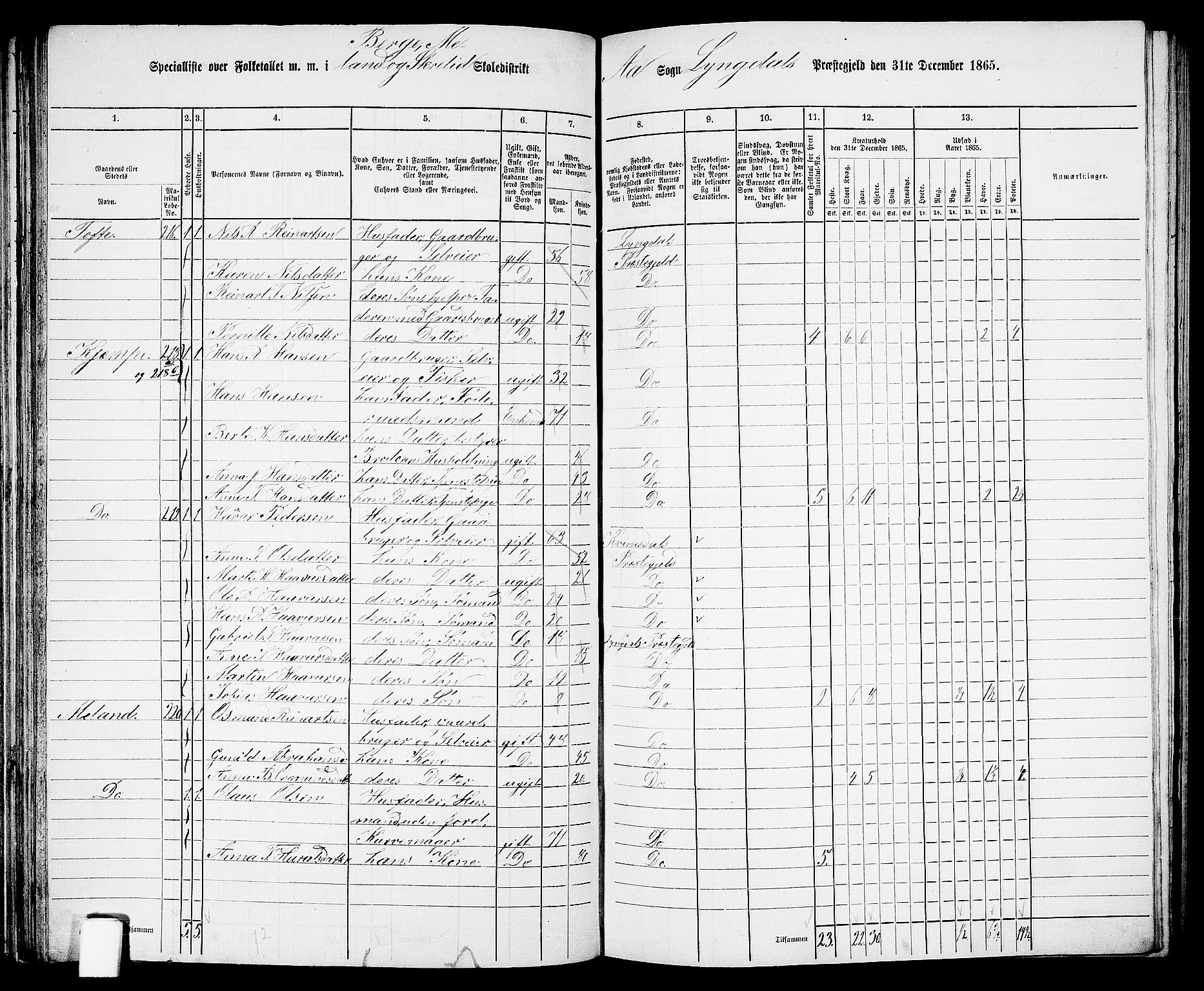 RA, 1865 census for Lyngdal, 1865, p. 111