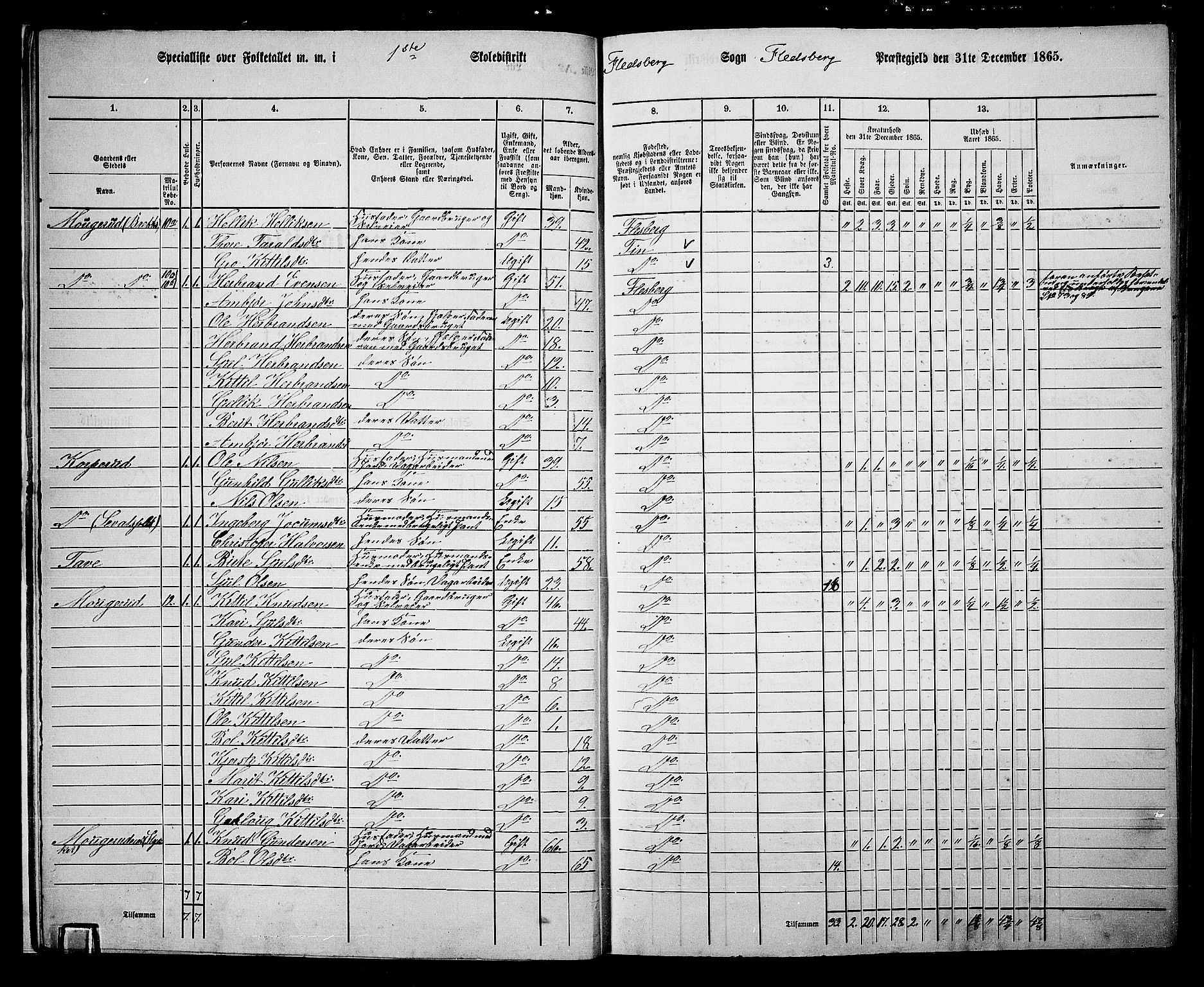 RA, 1865 census for Flesberg, 1865, p. 14