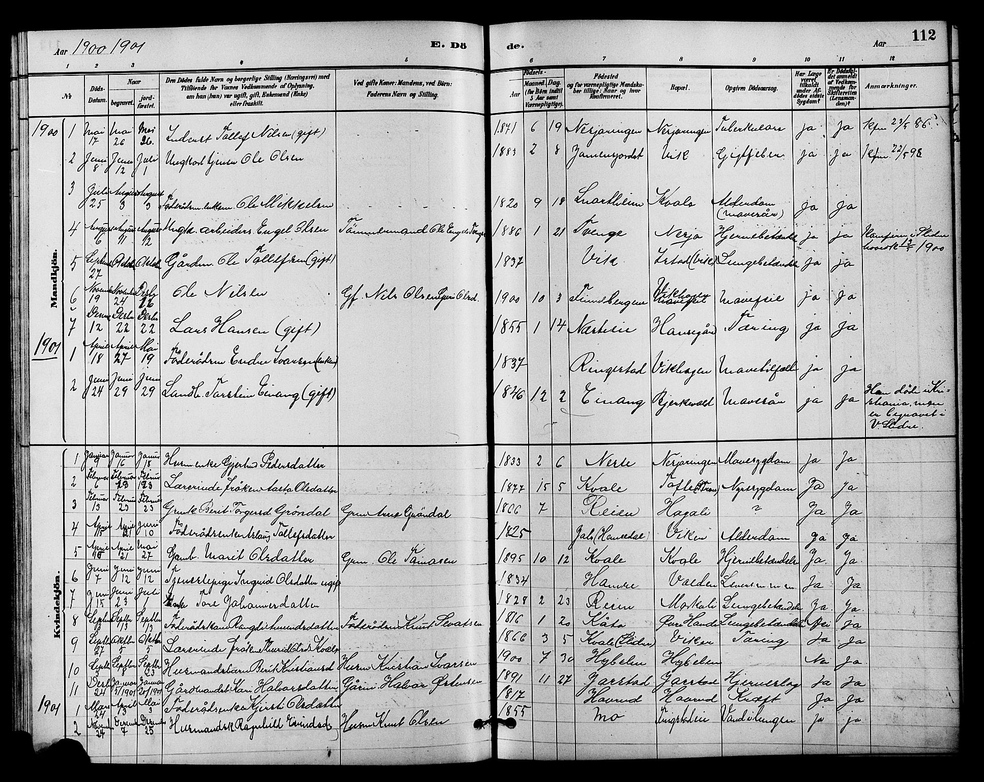 Vestre Slidre prestekontor, SAH/PREST-136/H/Ha/Hab/L0004: Parish register (copy) no. 4, 1881-1912, p. 112