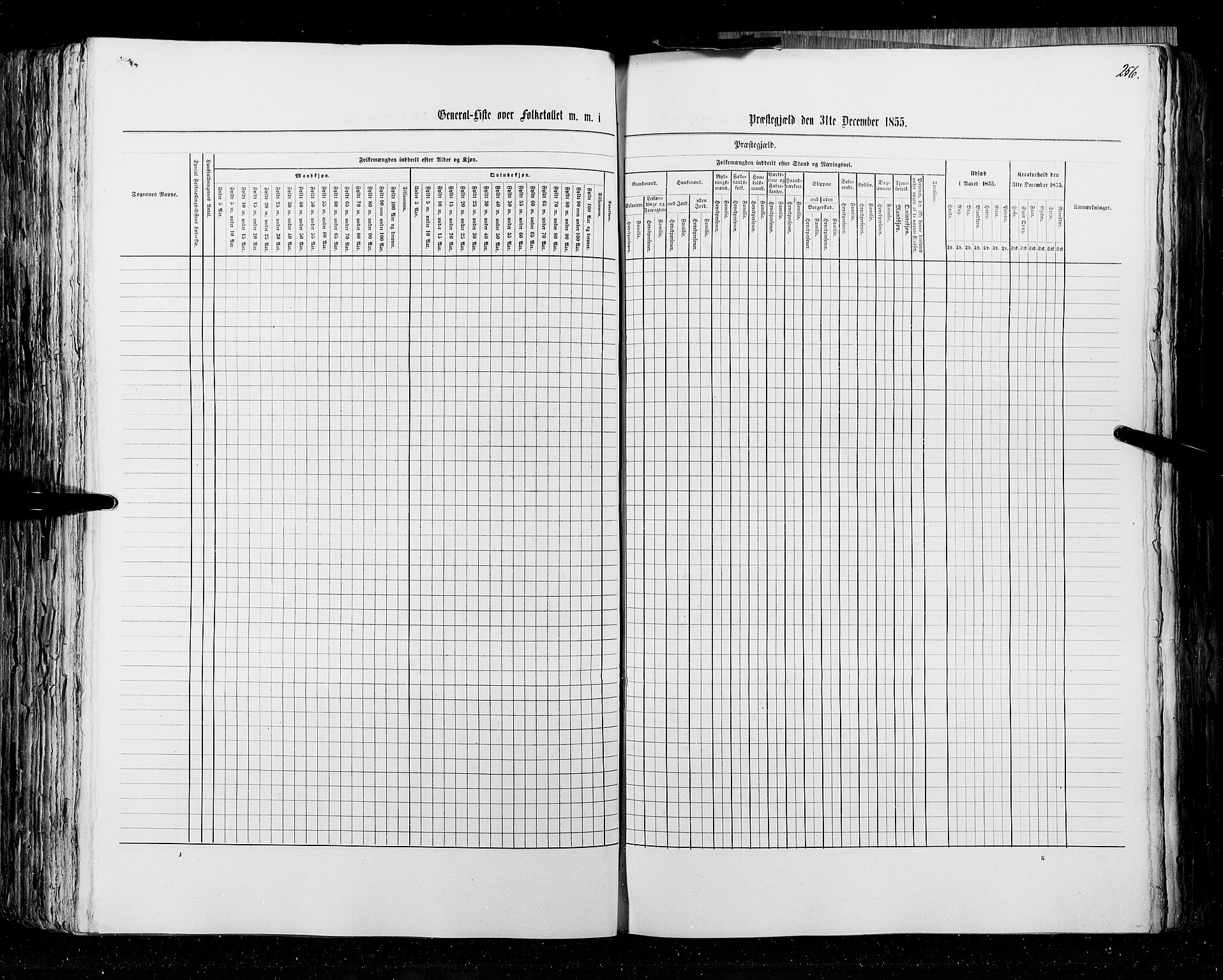 RA, Census 1855, vol. 4: Stavanger amt og Søndre Bergenhus amt, 1855, p. 256