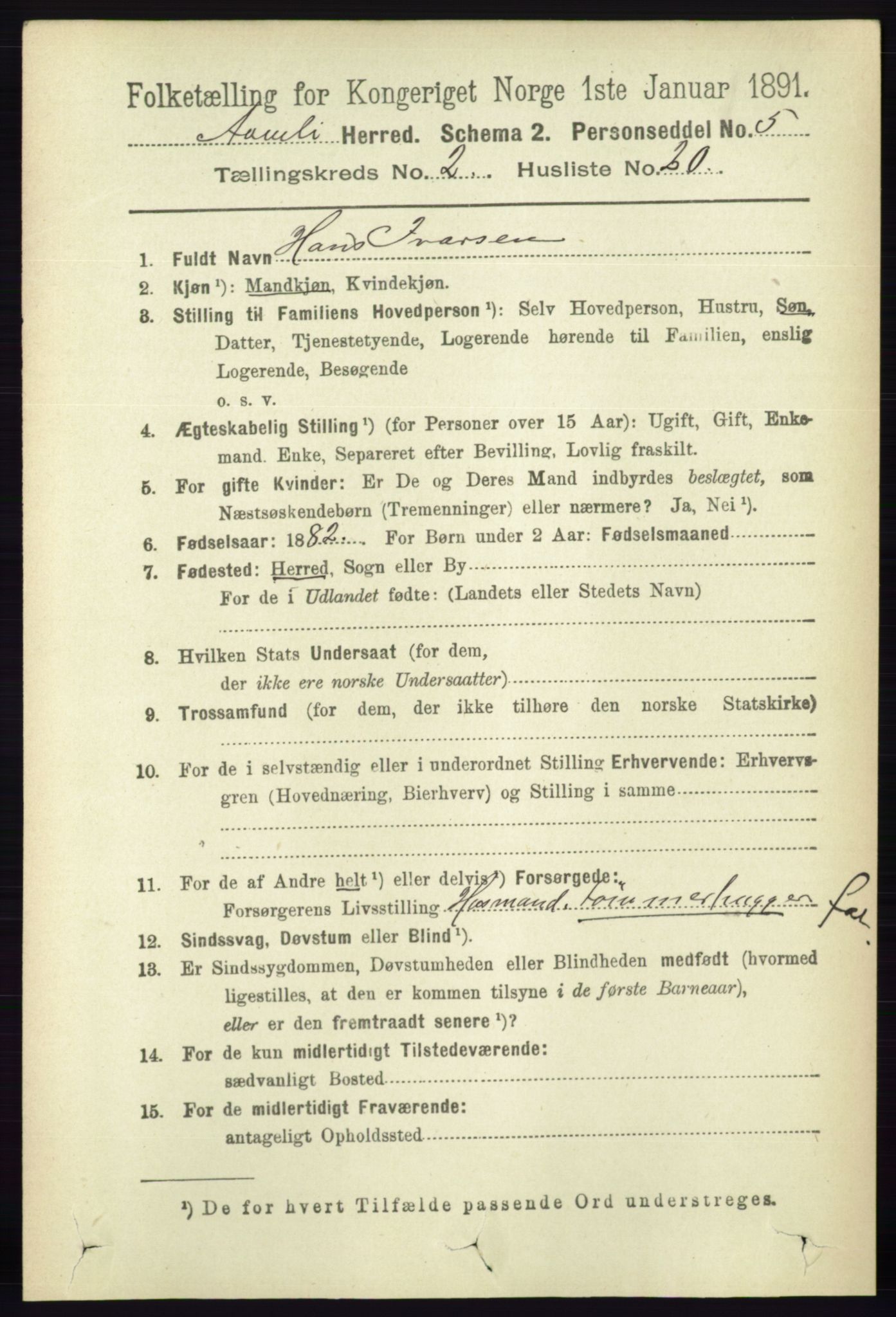 RA, 1891 census for 0929 Åmli, 1891, p. 293