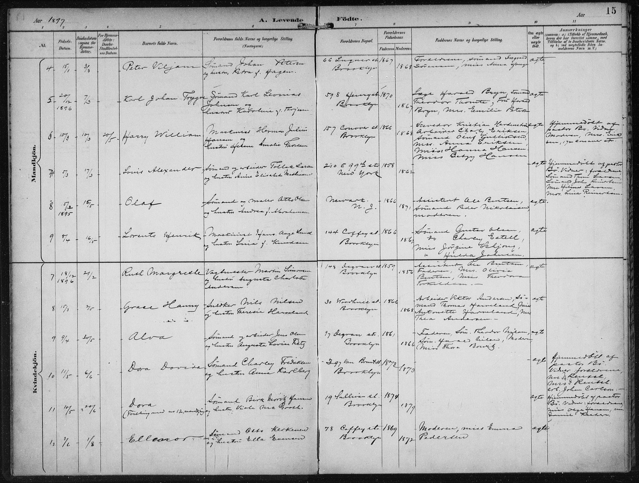 Den norske sjømannsmisjon i utlandet/New York, SAB/SAB/PA-0110/H/Ha/L0004: Parish register (official) no. A 4, 1893-1901, p. 15