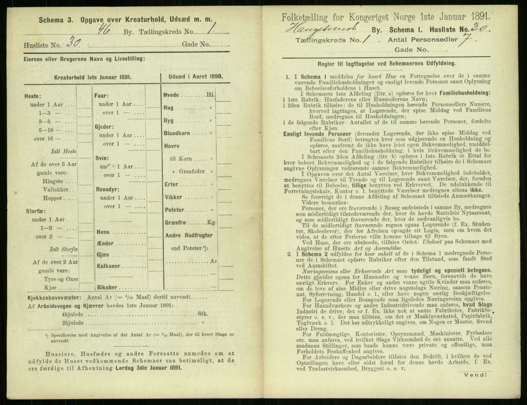 RA, 1891 census for 1106 Haugesund, 1891, p. 95