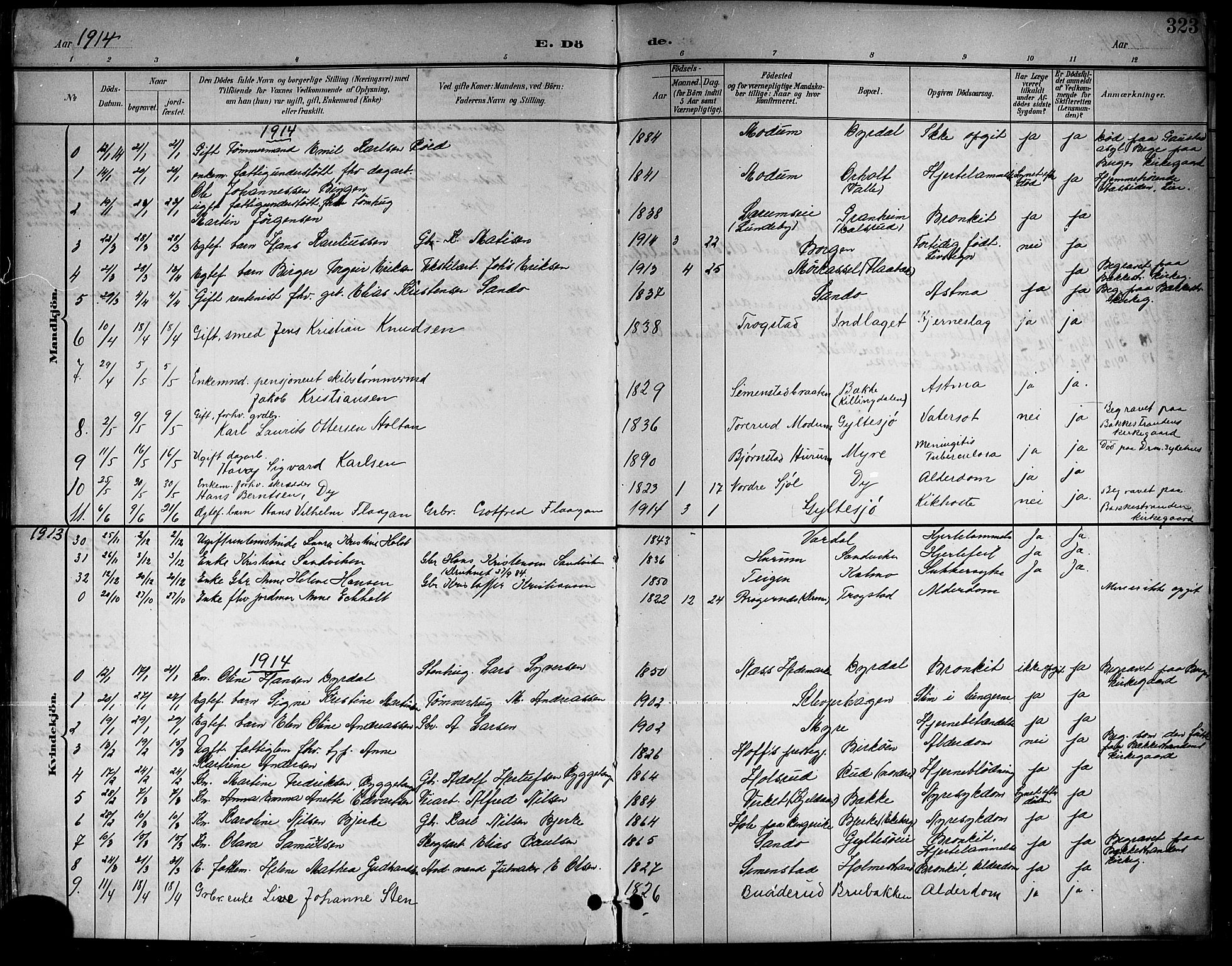 Sande Kirkebøker, AV/SAKO-A-53/G/Ga/L0004: Parish register (copy) no. 4, 1895-1918, p. 323