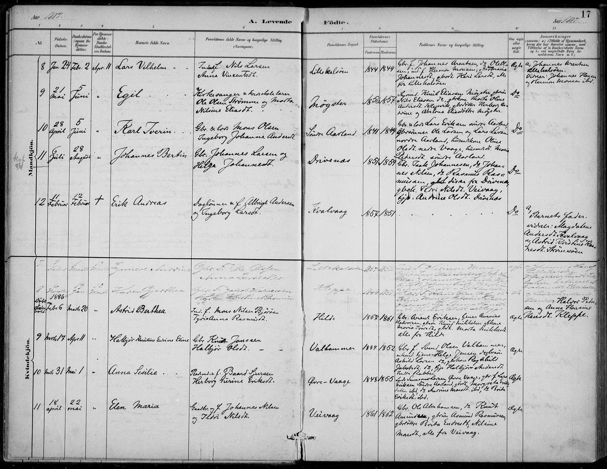 Sund sokneprestembete, AV/SAB-A-99930: Parish register (official) no. D 1, 1882-1899, p. 17