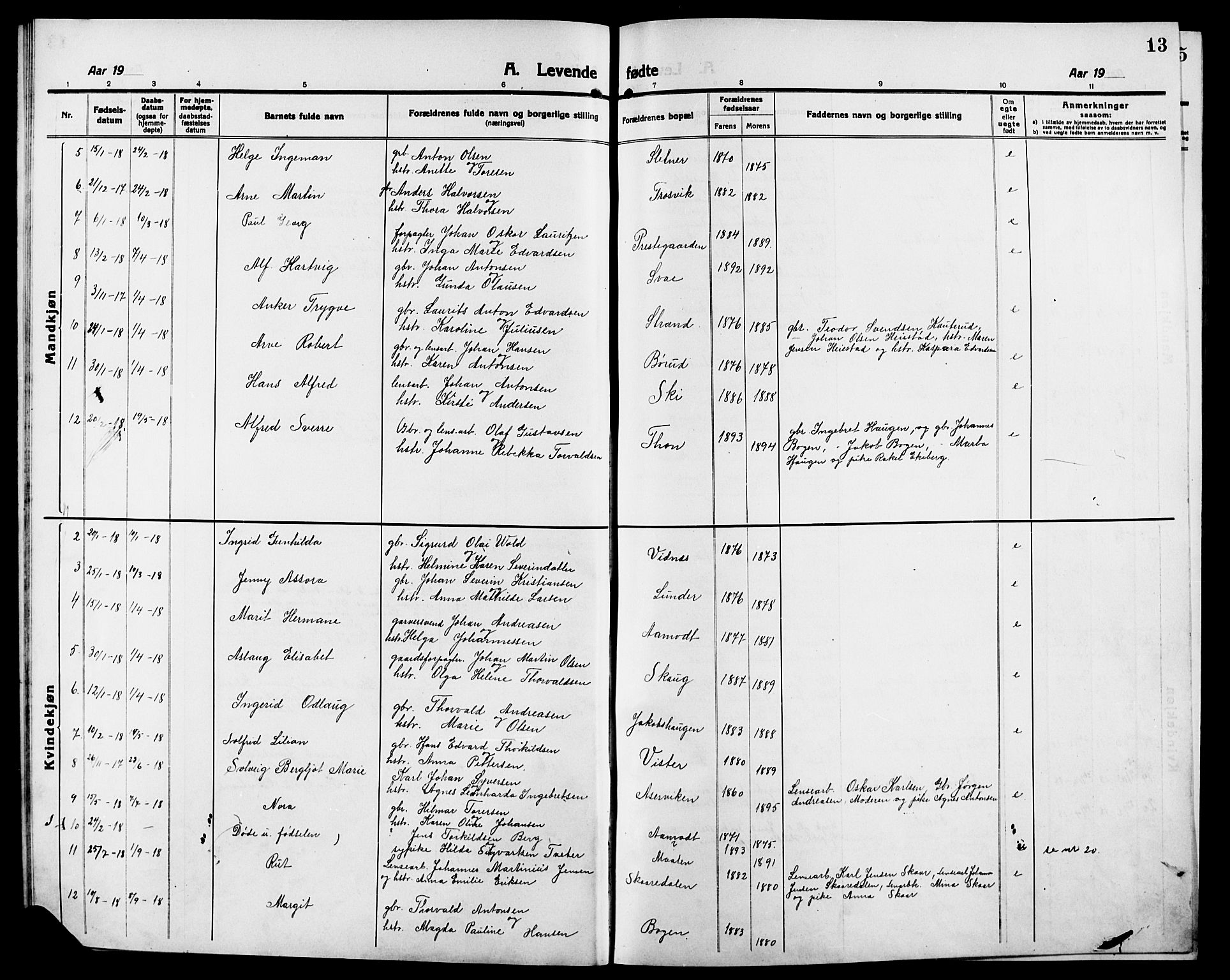 Skiptvet prestekontor Kirkebøker, AV/SAO-A-20009/G/Ga/L0003: Parish register (copy) no. 3, 1916-1924, p. 13