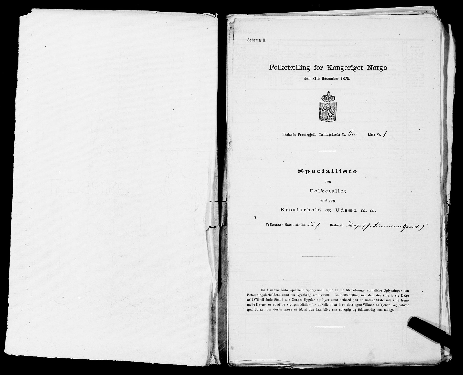 SAST, 1875 census for 1124P Håland, 1875, p. 642