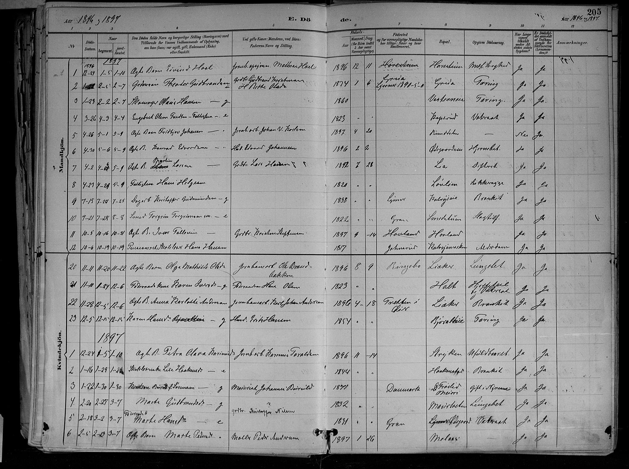 Jevnaker prestekontor, SAH/PREST-116/H/Ha/Haa/L0010: Parish register (official) no. 10, 1891-1906, p. 205