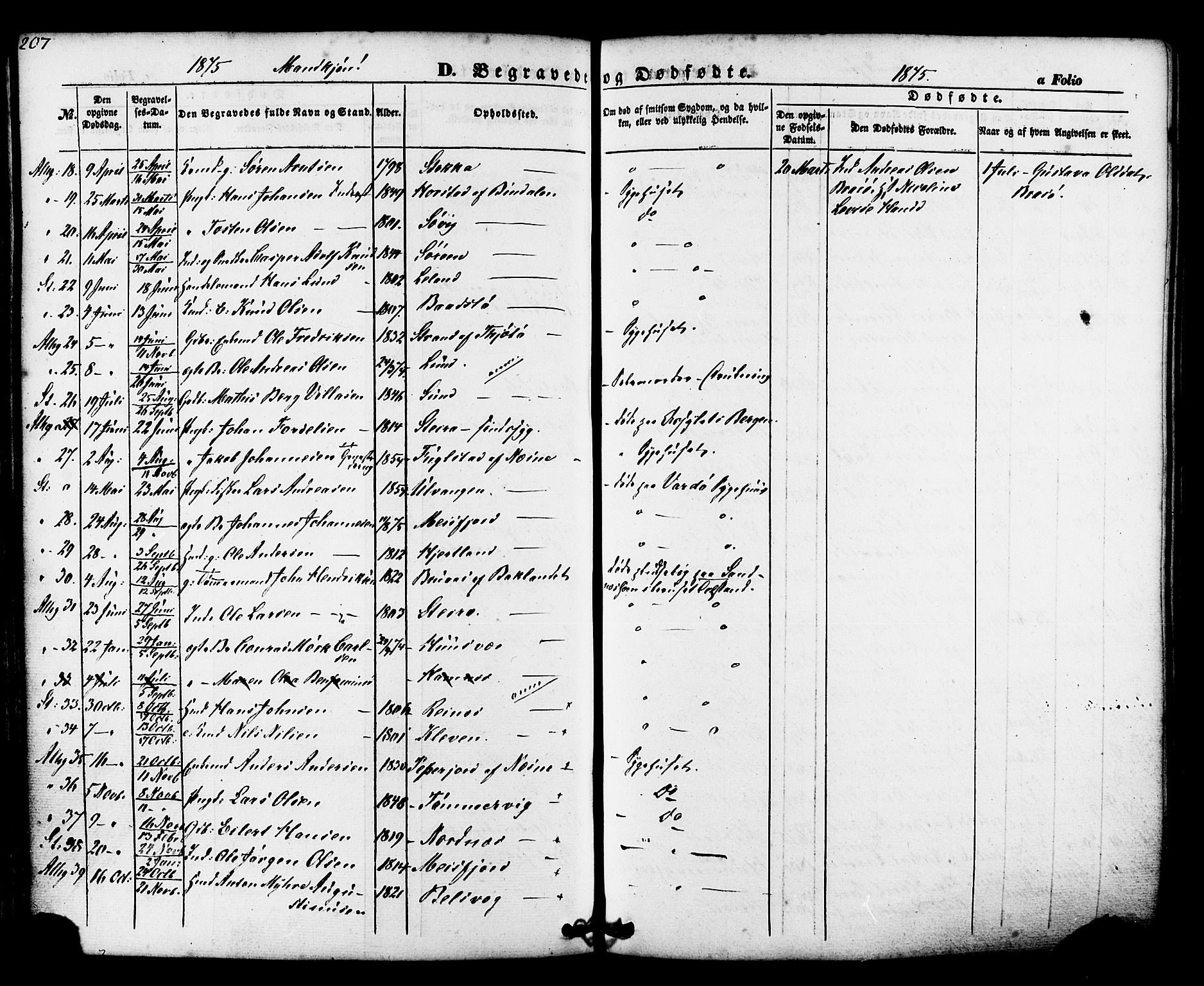 Ministerialprotokoller, klokkerbøker og fødselsregistre - Nordland, AV/SAT-A-1459/830/L0448: Parish register (official) no. 830A12, 1855-1878, p. 207