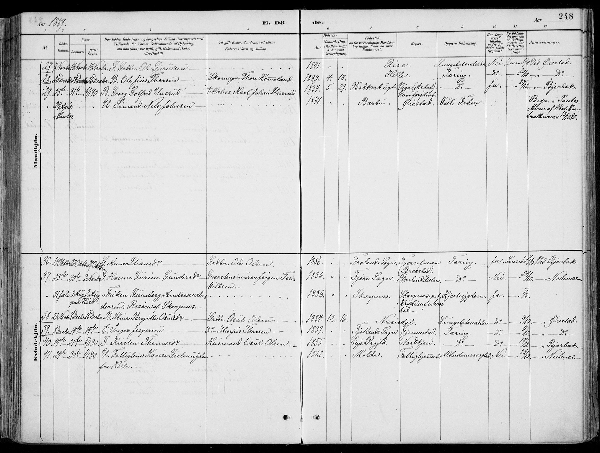 Øyestad sokneprestkontor, AV/SAK-1111-0049/F/Fa/L0017: Parish register (official) no. A 17, 1887-1896, p. 248