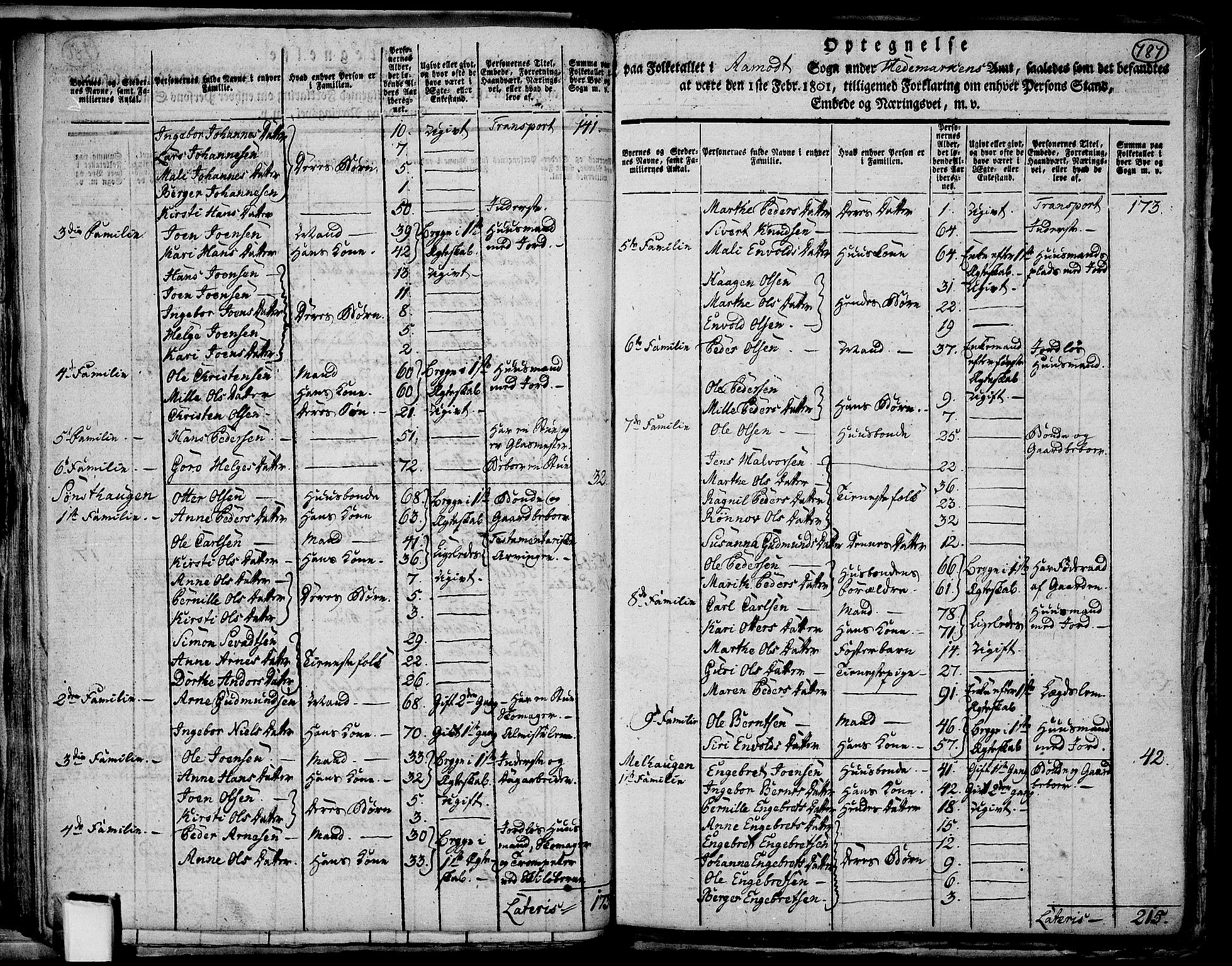 RA, 1801 census for 0429P Åmot, 1801, p. 786b-787a