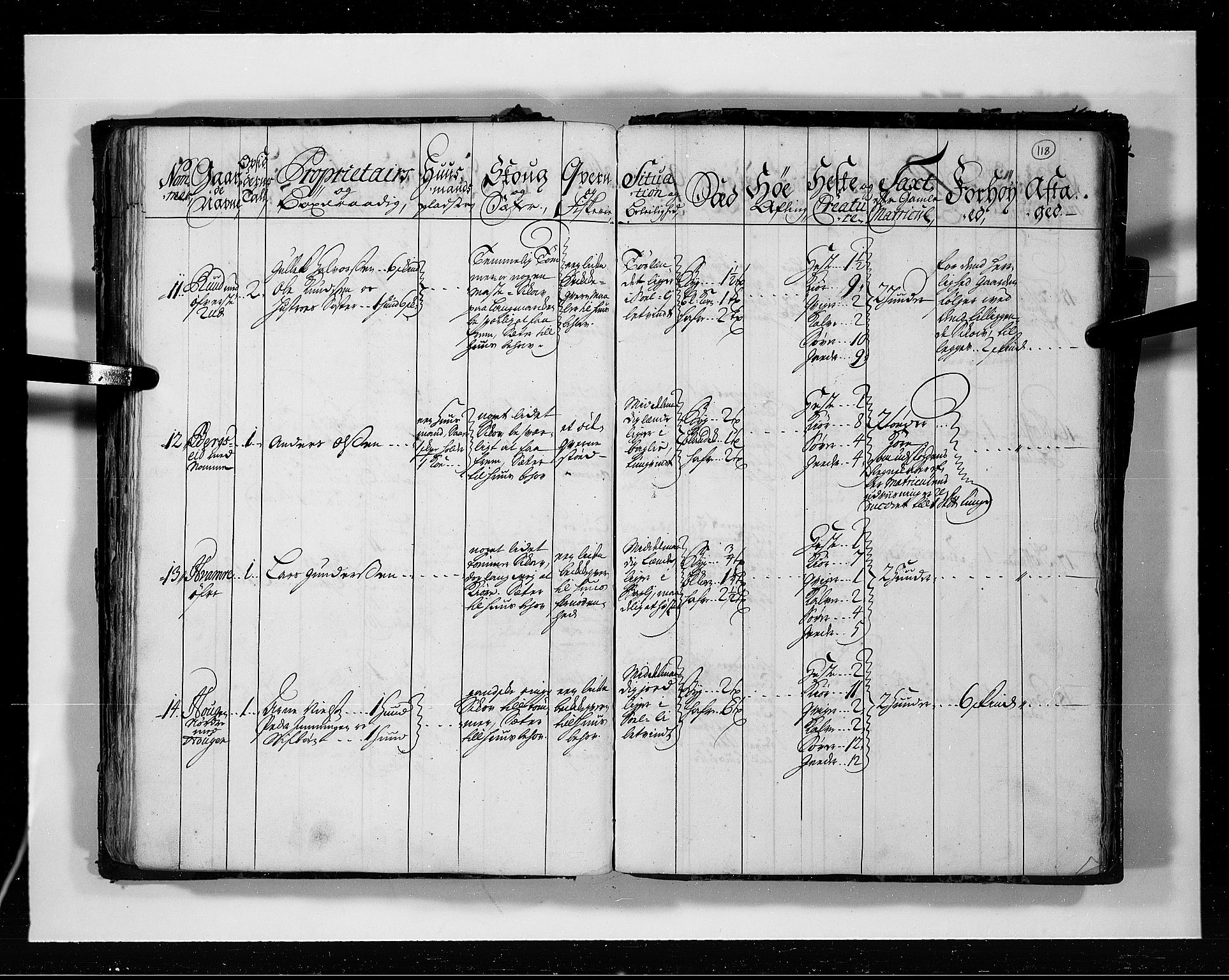 Rentekammeret inntil 1814, Realistisk ordnet avdeling, AV/RA-EA-4070/N/Nb/Nbf/L0113: Numedal og Sandsvær eksaminasjonsprotokoll, 1723, p. 117b-118a