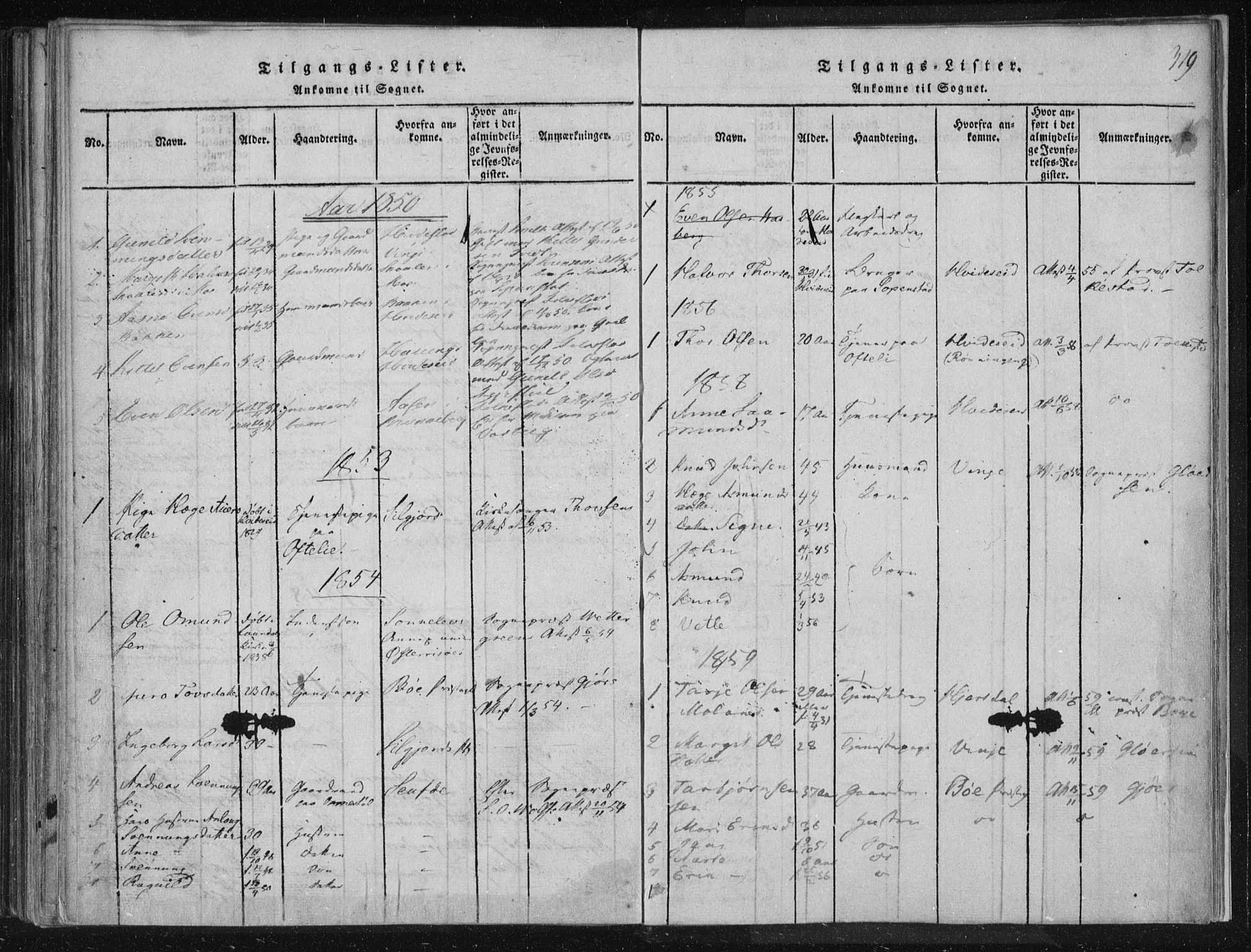 Lårdal kirkebøker, SAKO/A-284/F/Fc/L0001: Parish register (official) no. III 1, 1815-1860, p. 319