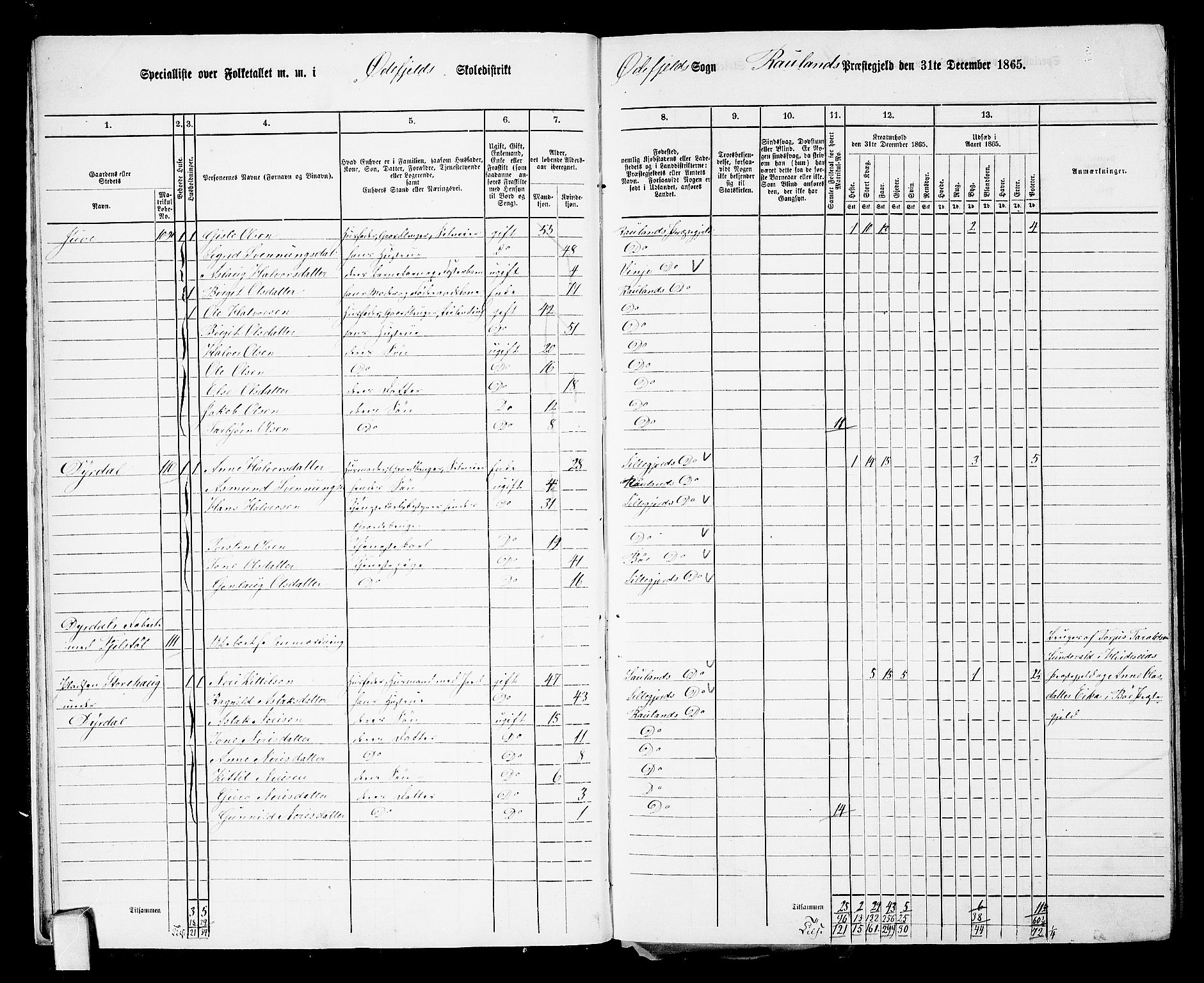 RA, 1865 census for Rauland, 1865, p. 16