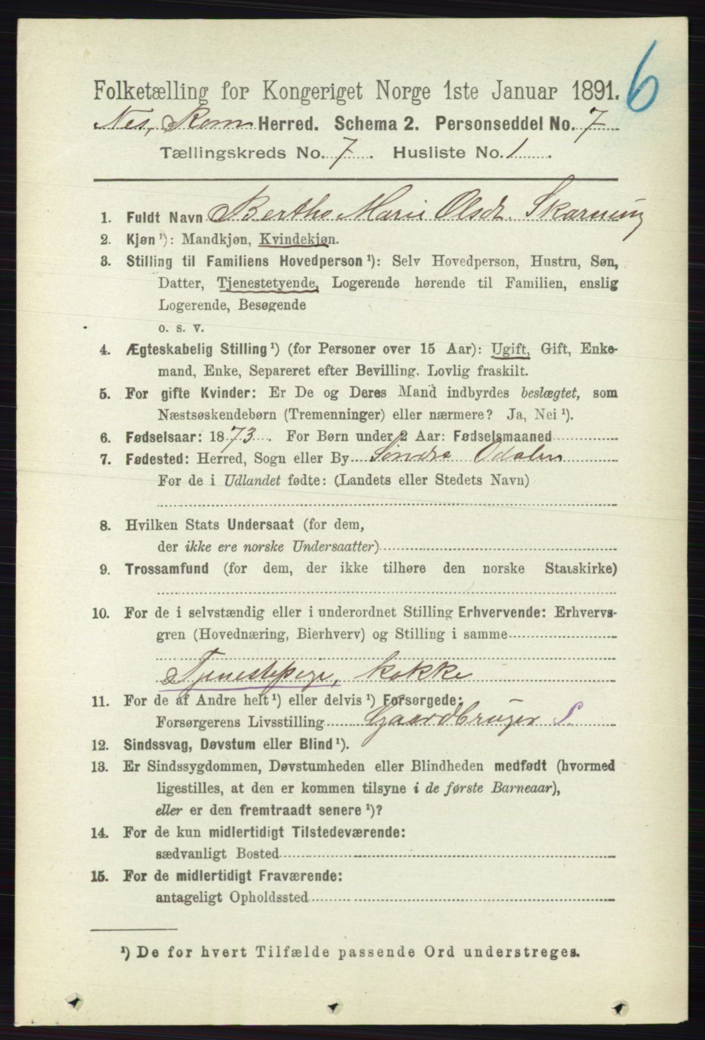 RA, 1891 census for 0236 Nes, 1891, p. 4018