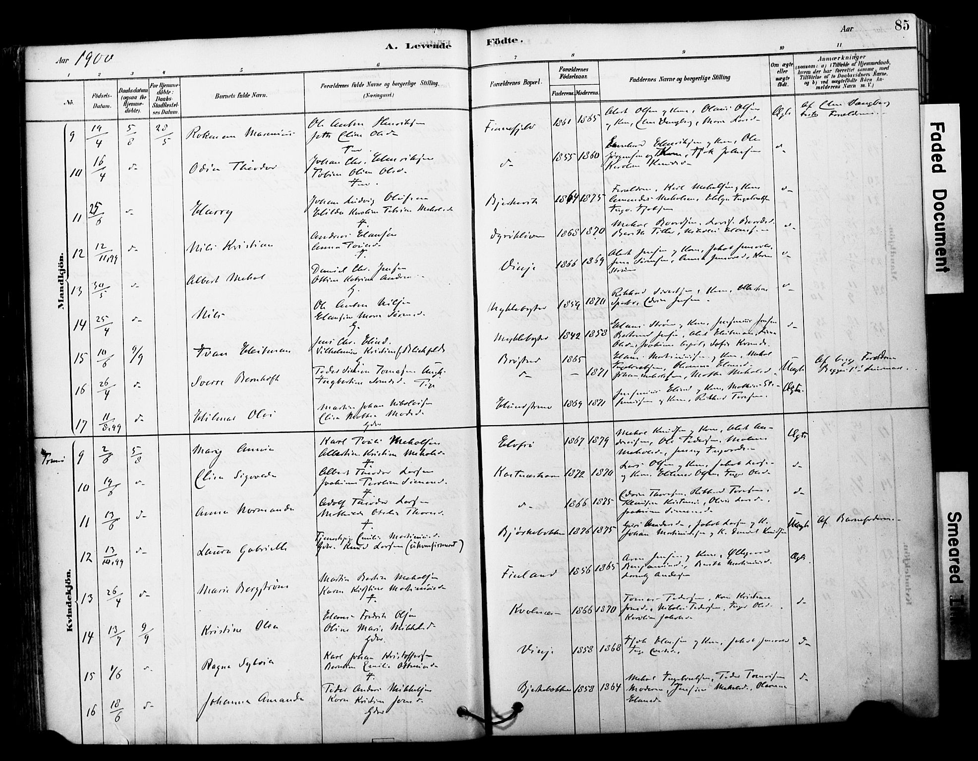 Tranøy sokneprestkontor, AV/SATØ-S-1313/I/Ia/Iaa/L0011kirke: Parish register (official) no. 11, 1878-1904, p. 85