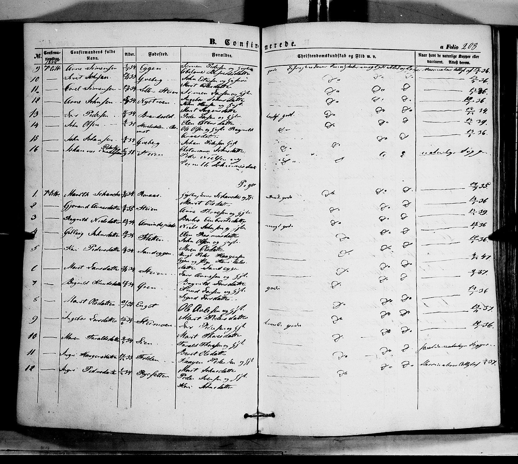 Tynset prestekontor, AV/SAH-PREST-058/H/Ha/Haa/L0020: Parish register (official) no. 20, 1848-1862, p. 208