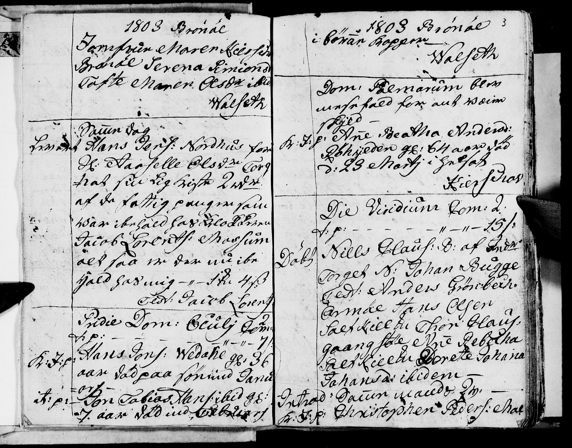 Ministerialprotokoller, klokkerbøker og fødselsregistre - Nordland, SAT/A-1459/813/L0209: Parish register (copy) no. 813C01, 1803-1821, p. 3