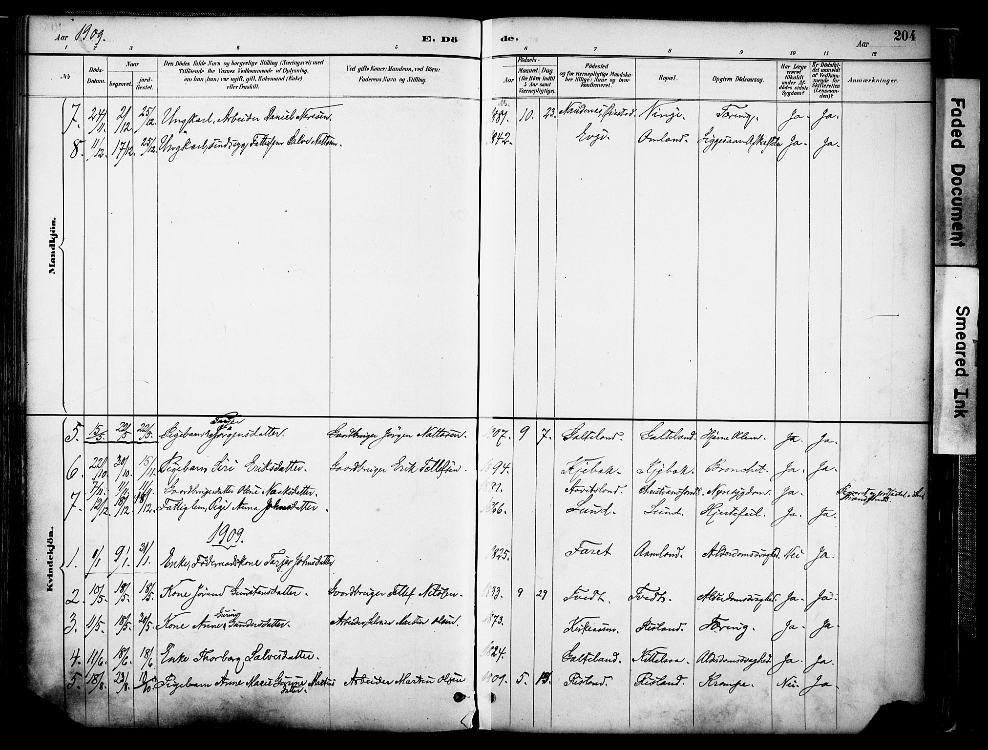 Evje sokneprestkontor, AV/SAK-1111-0008/F/Fa/Faa/L0007: Parish register (official) no. A 7, 1884-1909, p. 204