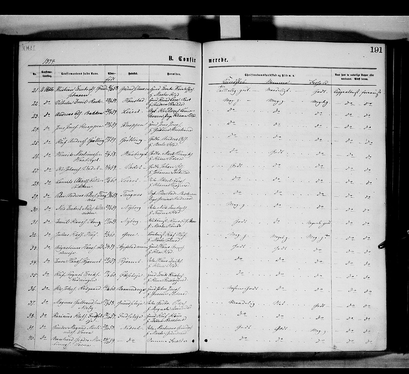 Elverum prestekontor, AV/SAH-PREST-044/H/Ha/Haa/L0011: Parish register (official) no. 11, 1869-1879, p. 191