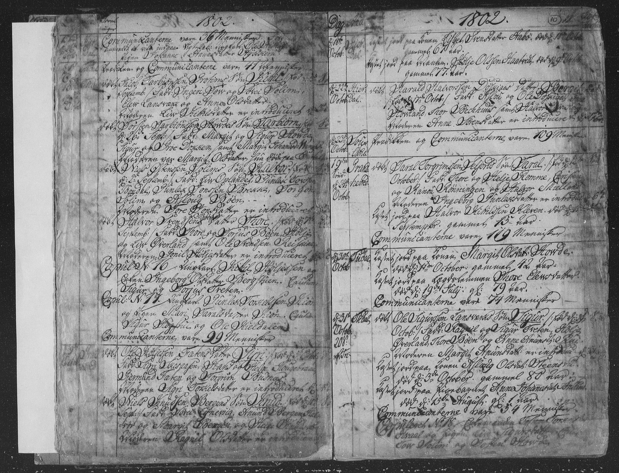 Hjartdal kirkebøker, SAKO/A-270/F/Fa/L0006: Parish register (official) no. I 6, 1801-1814, p. 10