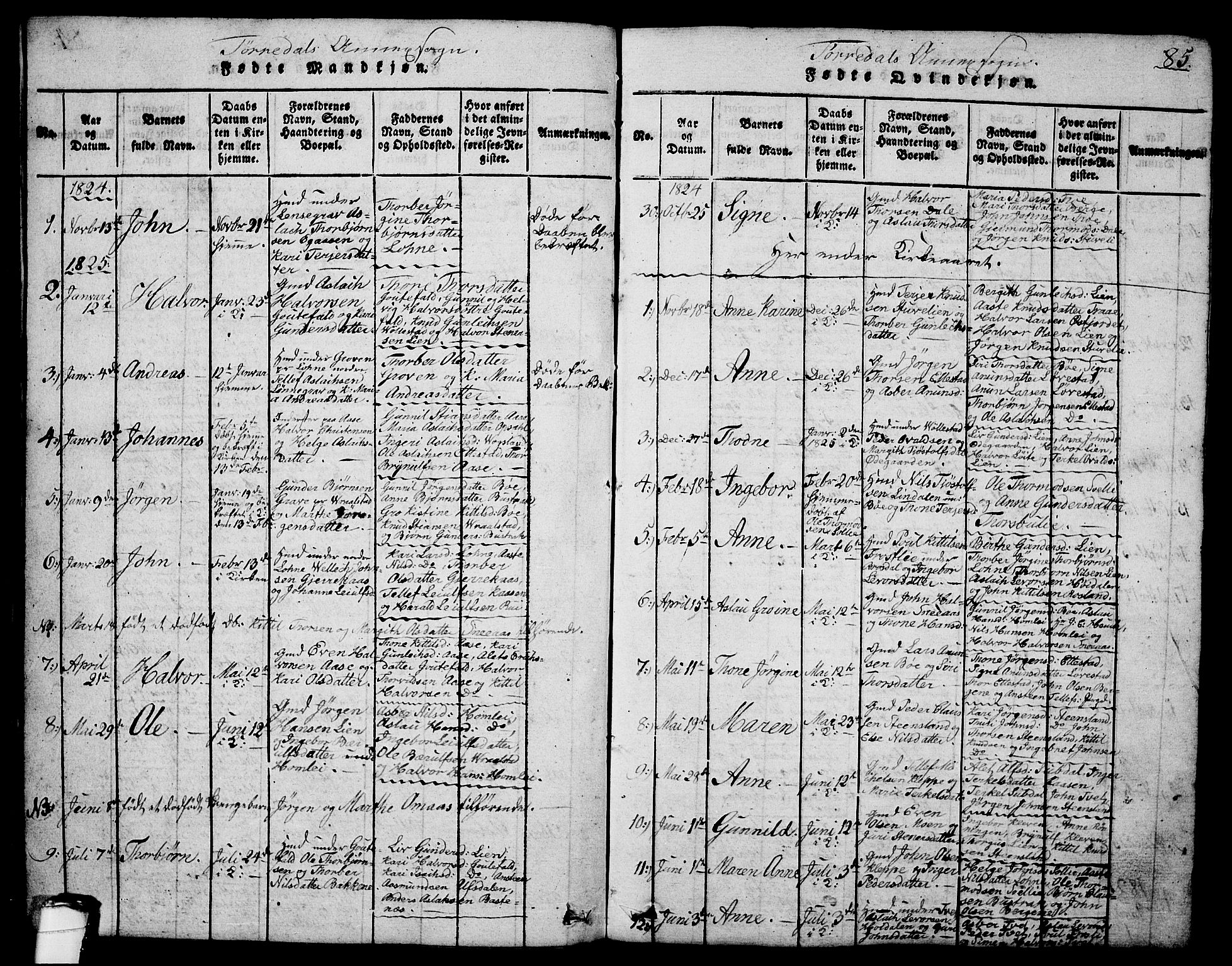 Drangedal kirkebøker, AV/SAKO-A-258/G/Ga/L0001: Parish register (copy) no. I 1 /2, 1814-1856, p. 85