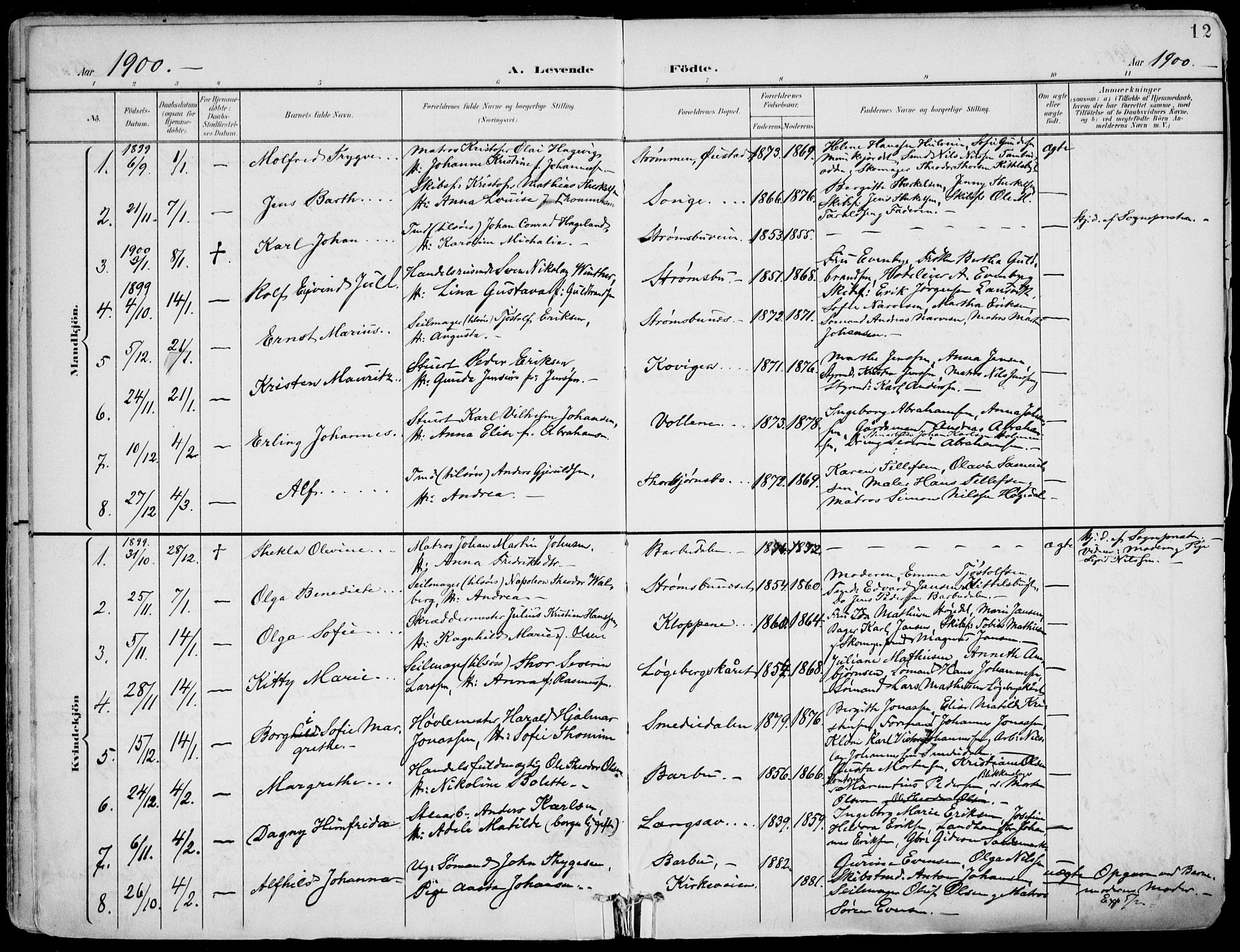 Barbu sokneprestkontor, AV/SAK-1111-0003/F/Fa/L0005: Parish register (official) no. A 5, 1899-1909, p. 12