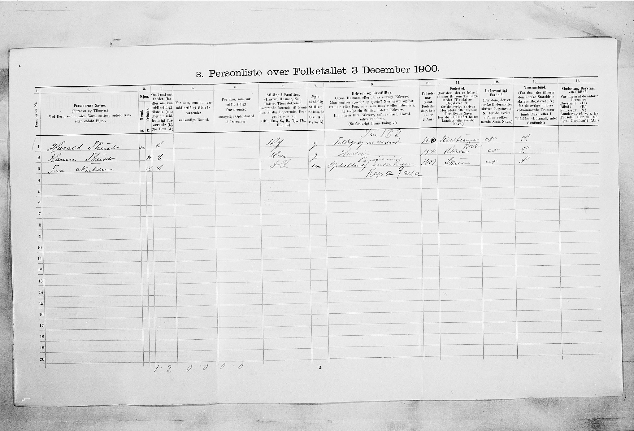 SAKO, 1900 census for Langesund, 1900, p. 793