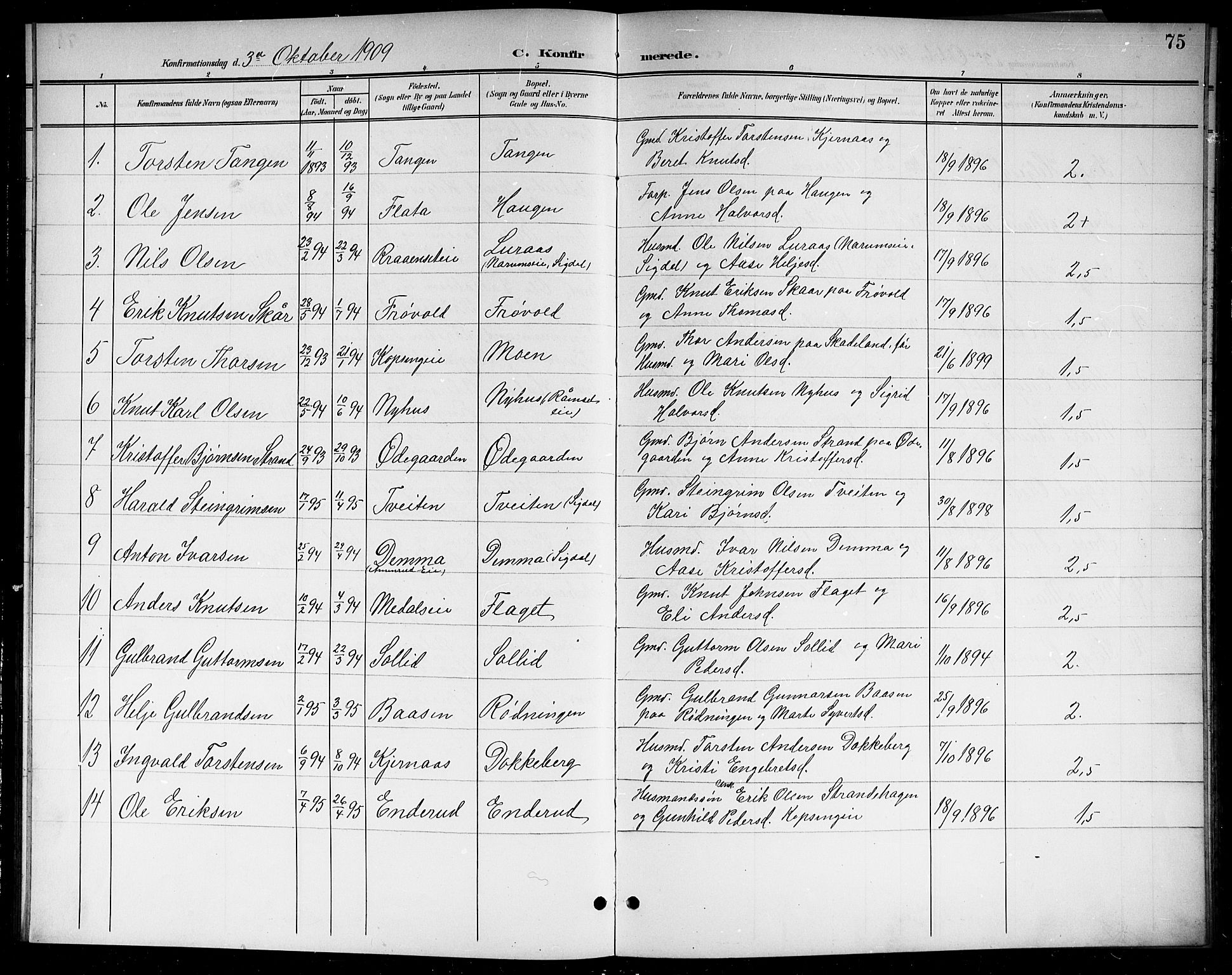 Sigdal kirkebøker, SAKO/A-245/G/Gb/L0003: Parish register (copy) no. II 3, 1901-1916, p. 75