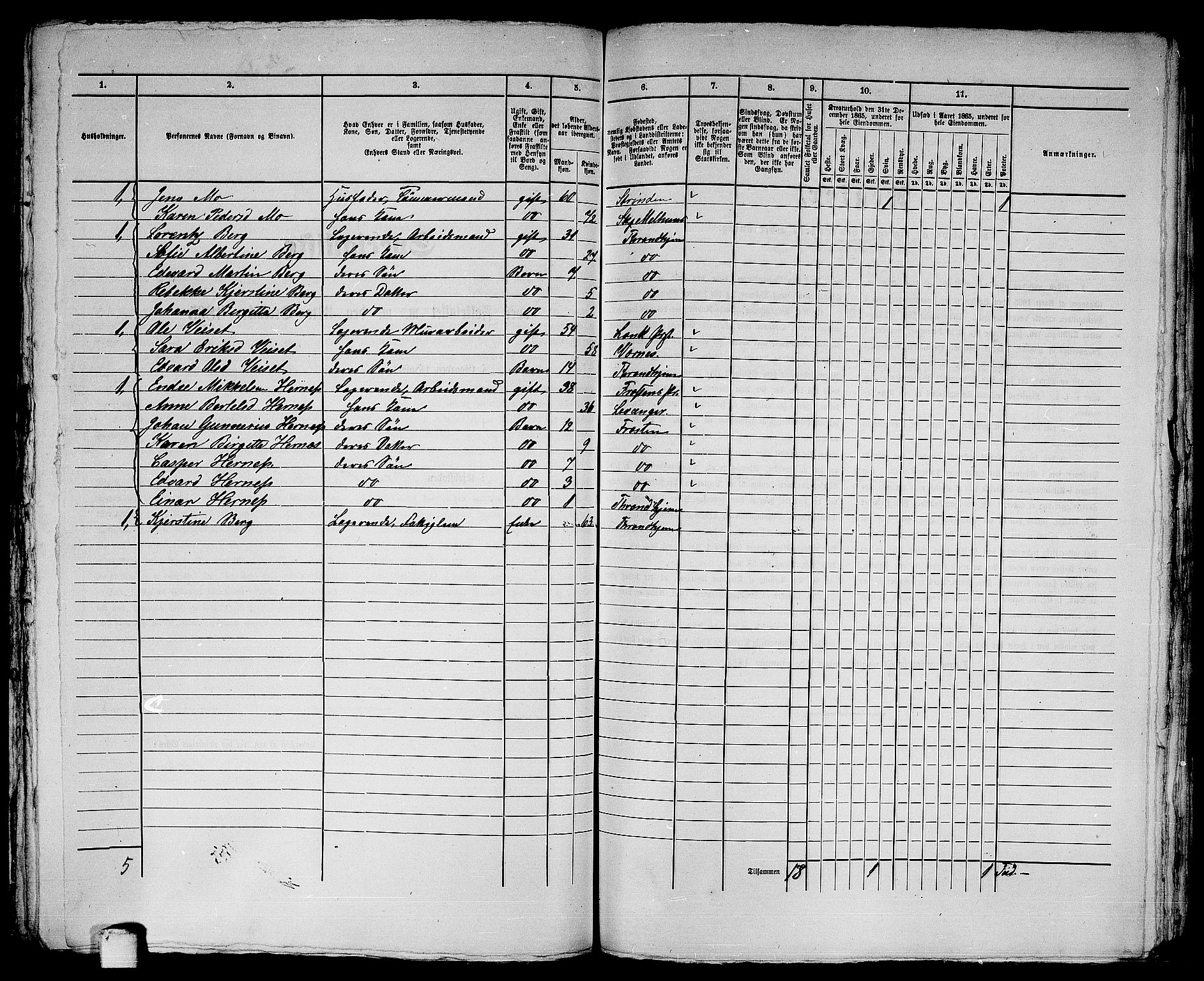 RA, 1865 census for Trondheim, 1865, p. 3003