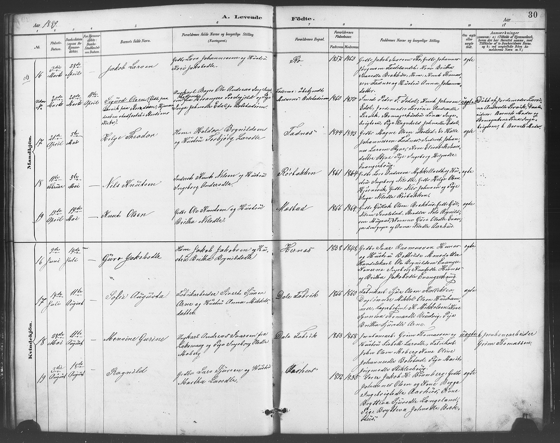 Evanger sokneprestembete, SAB/A-99924: Parish register (copy) no. A 4, 1887-1897, p. 30