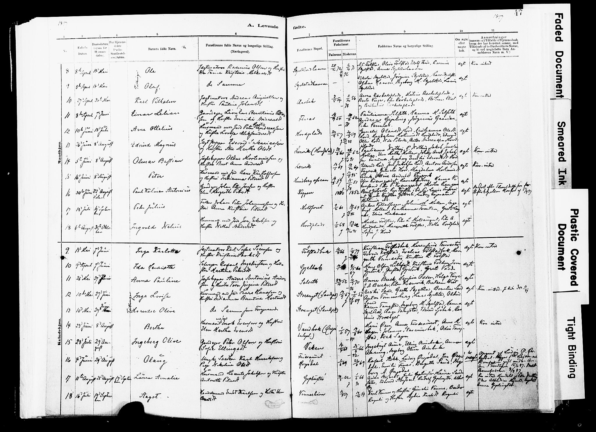 Ministerialprotokoller, klokkerbøker og fødselsregistre - Nord-Trøndelag, SAT/A-1458/744/L0420: Parish register (official) no. 744A04, 1882-1904, p. 47
