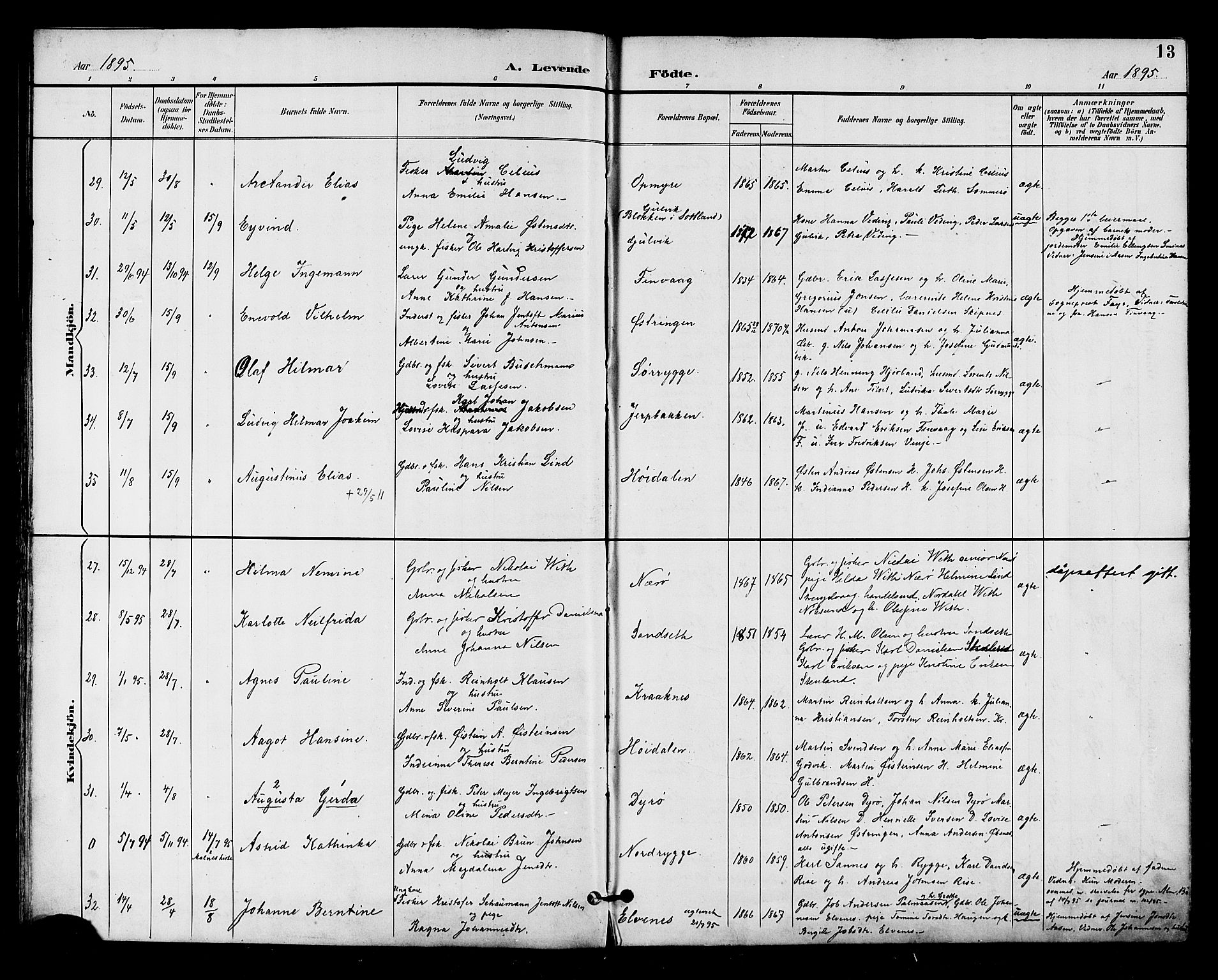 Ministerialprotokoller, klokkerbøker og fødselsregistre - Nordland, AV/SAT-A-1459/893/L1338: Parish register (official) no. 893A10, 1894-1903, p. 13