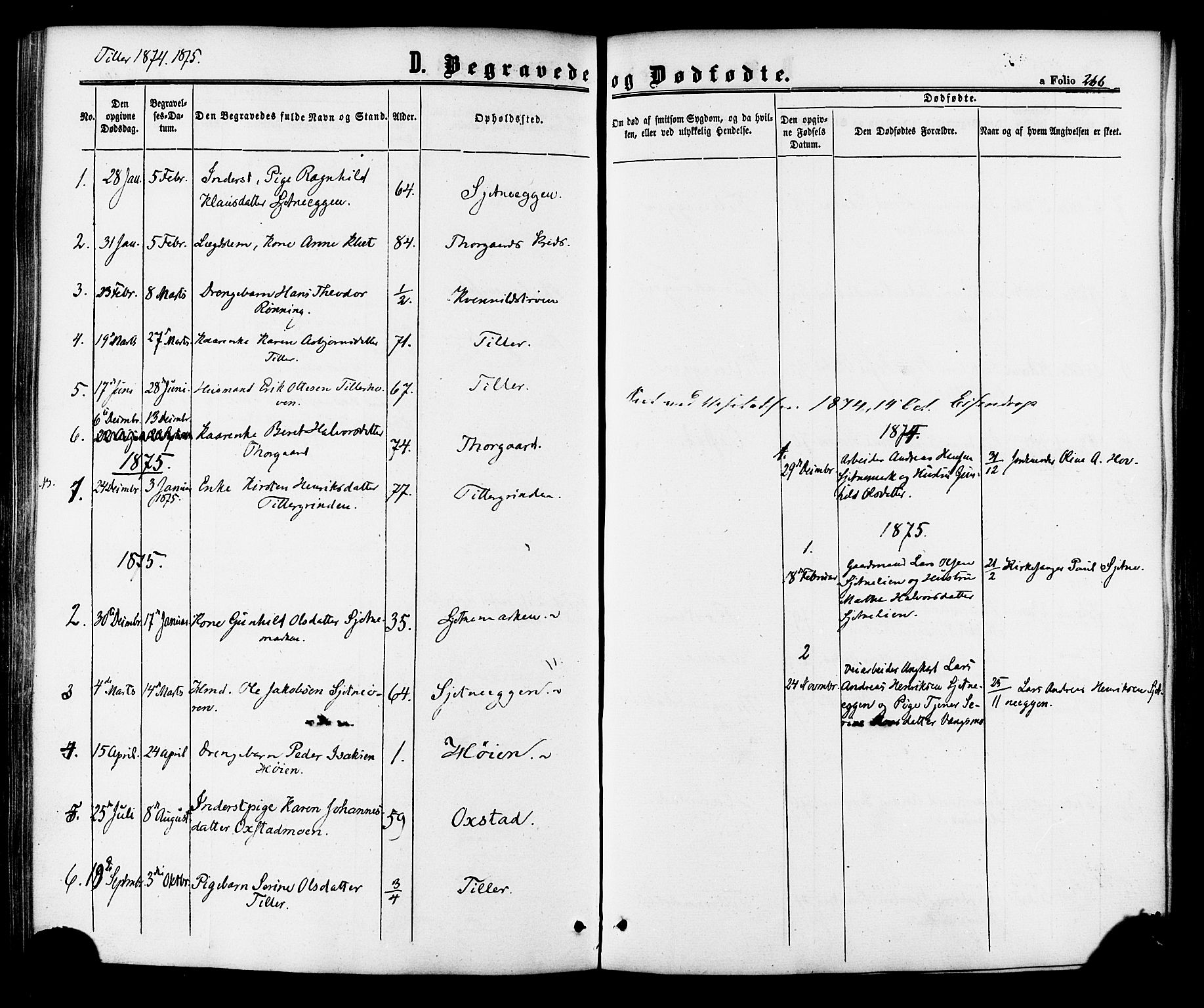 Ministerialprotokoller, klokkerbøker og fødselsregistre - Sør-Trøndelag, AV/SAT-A-1456/618/L0443: Parish register (official) no. 618A06 /2, 1863-1879, p. 266