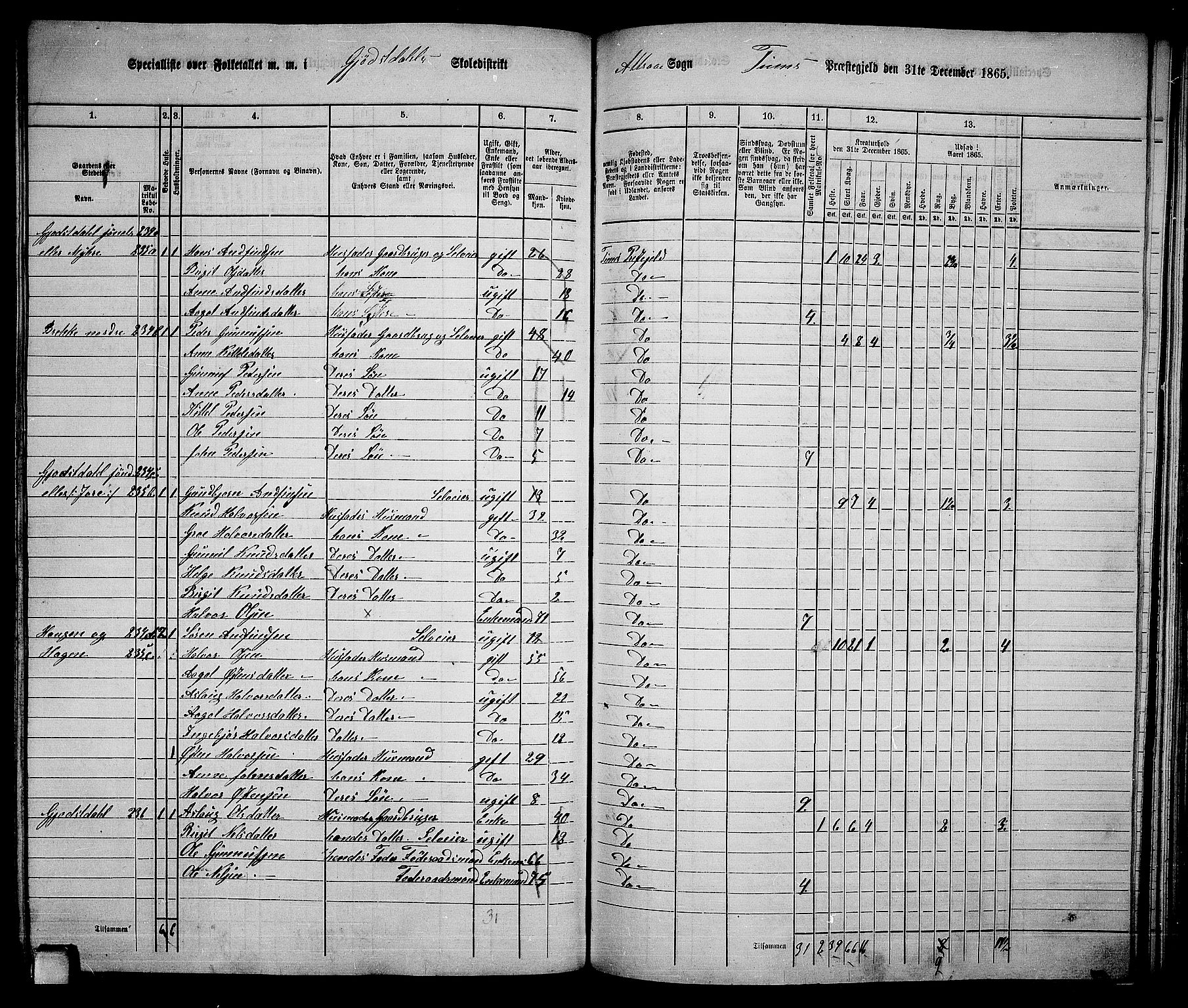 RA, 1865 census for Tinn, 1865, p. 54