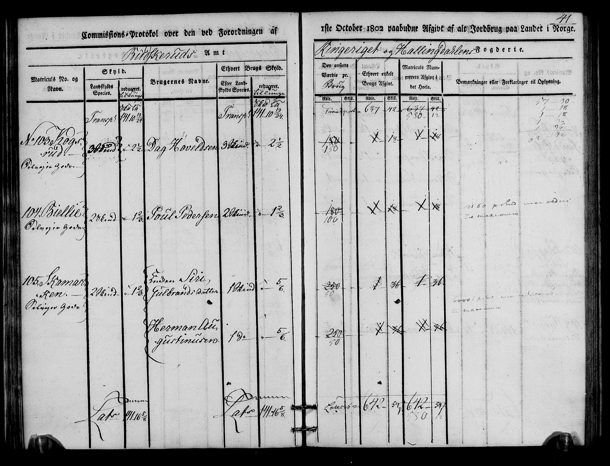 Rentekammeret inntil 1814, Realistisk ordnet avdeling, AV/RA-EA-4070/N/Ne/Nea/L0046: Ringerike og Hallingdal fogderi. Kommisjonsprotokoll for Hole prestegjeld, 1803, p. 42