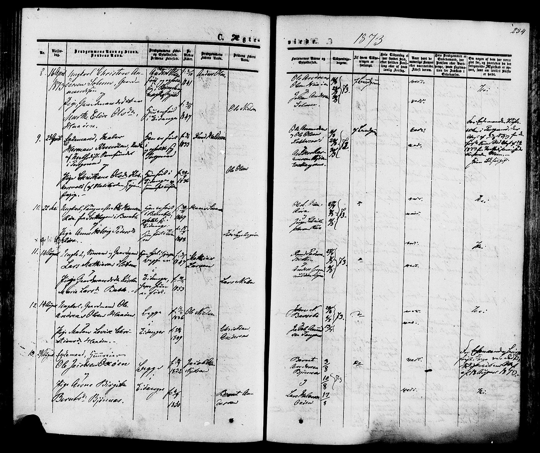 Eidanger kirkebøker, SAKO/A-261/F/Fa/L0010: Parish register (official) no. 10, 1859-1874, p. 234